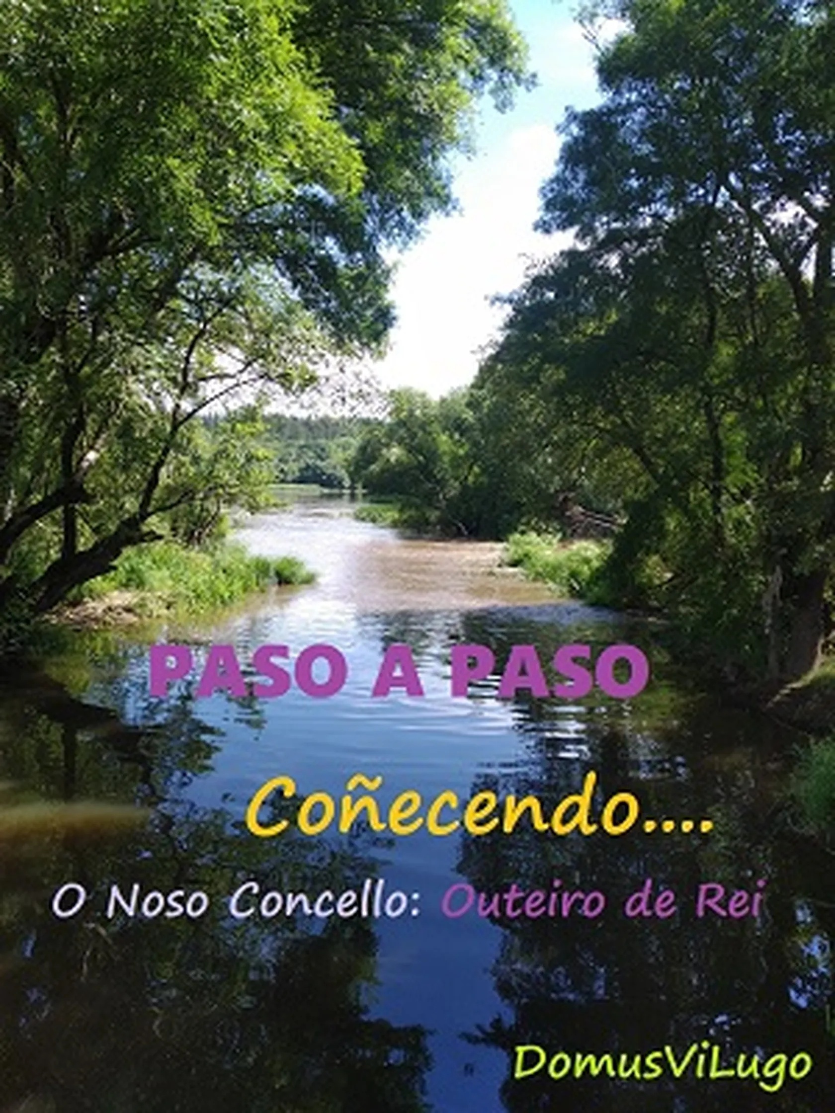 DomusViLugoPasoapaso1.jpg
