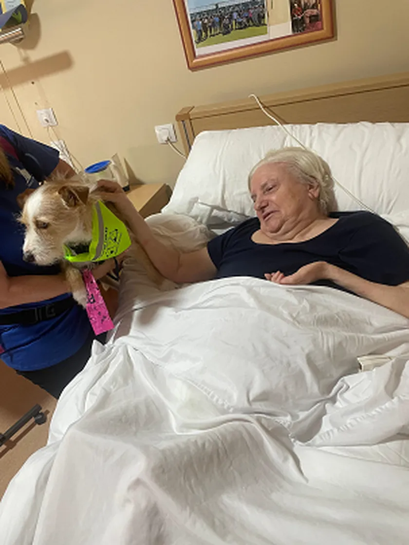d1dc3c95-8208-4f21-8ca9-1e849c3d9d9b.png