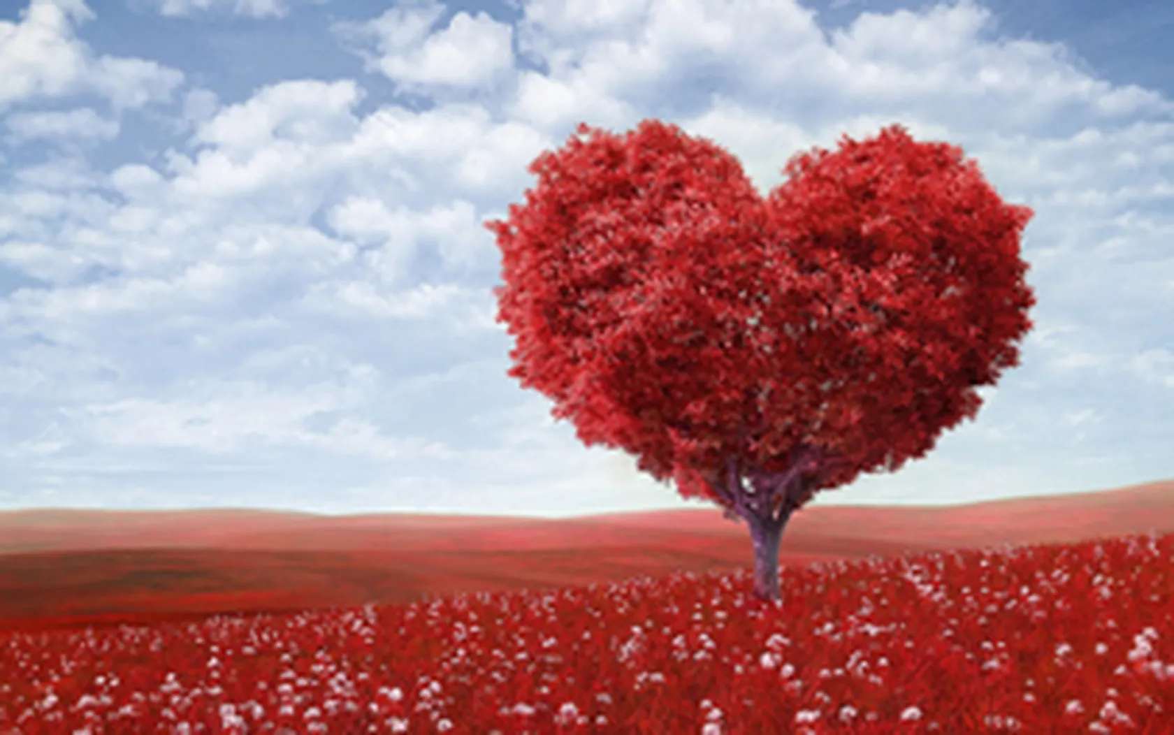 02-14_dia-de-san-valentin-1.jpg