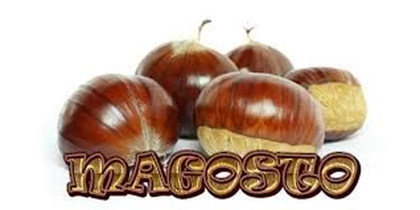magosto-Oleiros.-e1636981578347.jpg