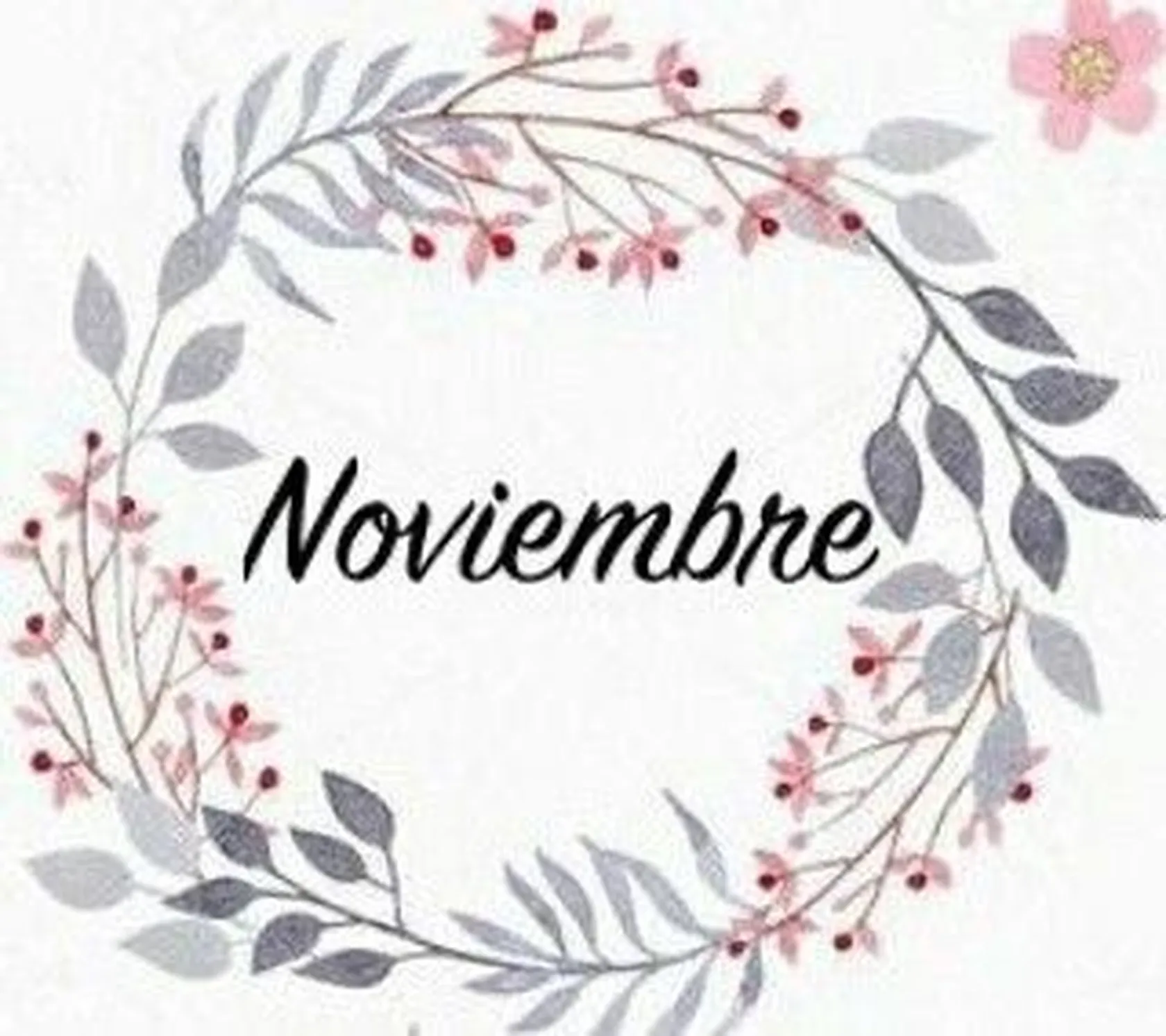 Noviembre-1.jpg