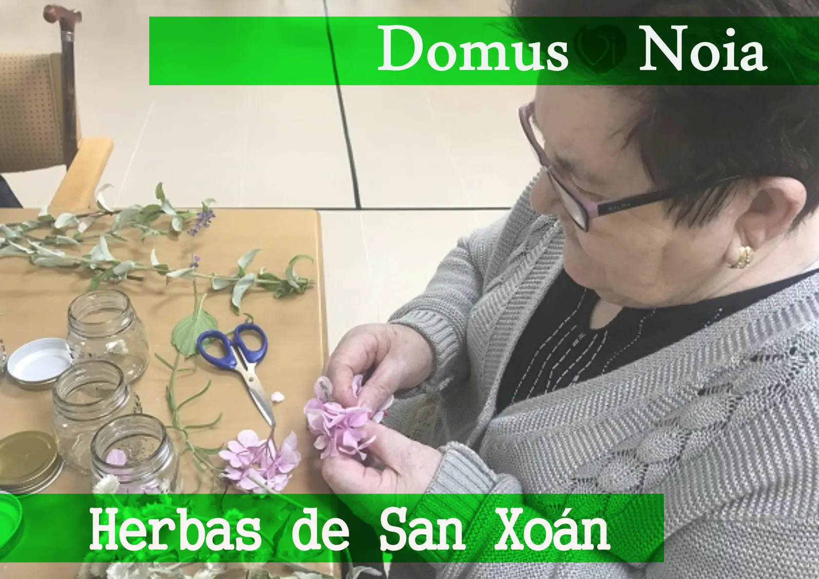 cabecera-herbas-de-san-xoan.jpg