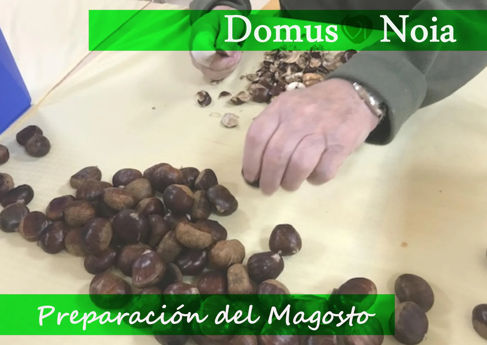 cabecera-preparacion-magosto.jpg