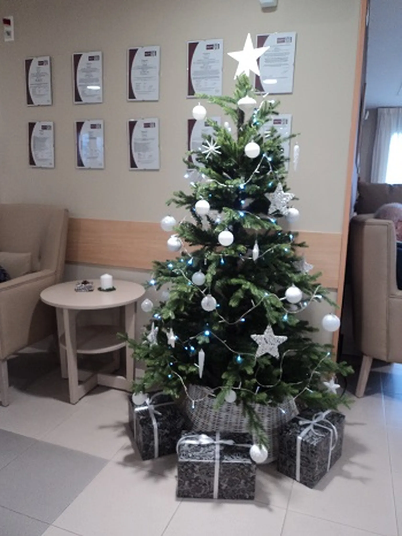 arbol-carballo-1.jpg