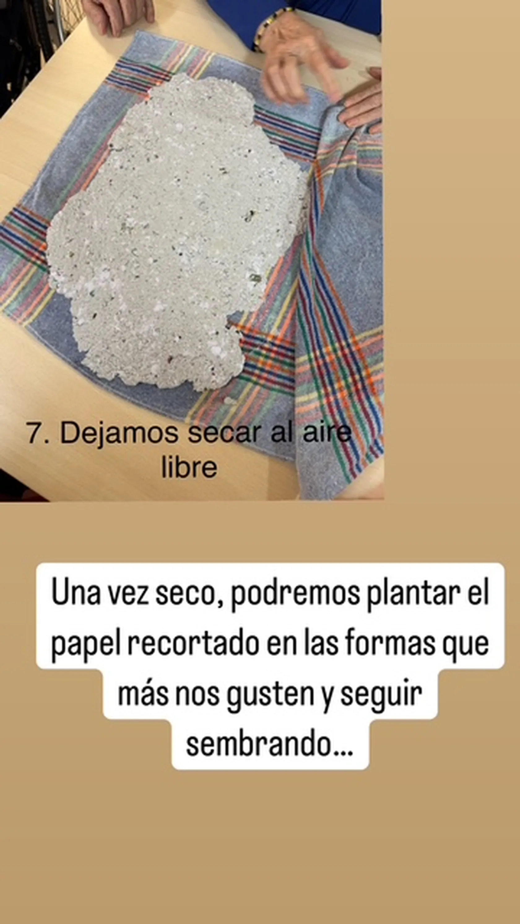 442cef83-0795-4683-81e0-43ed640ff382.jpg