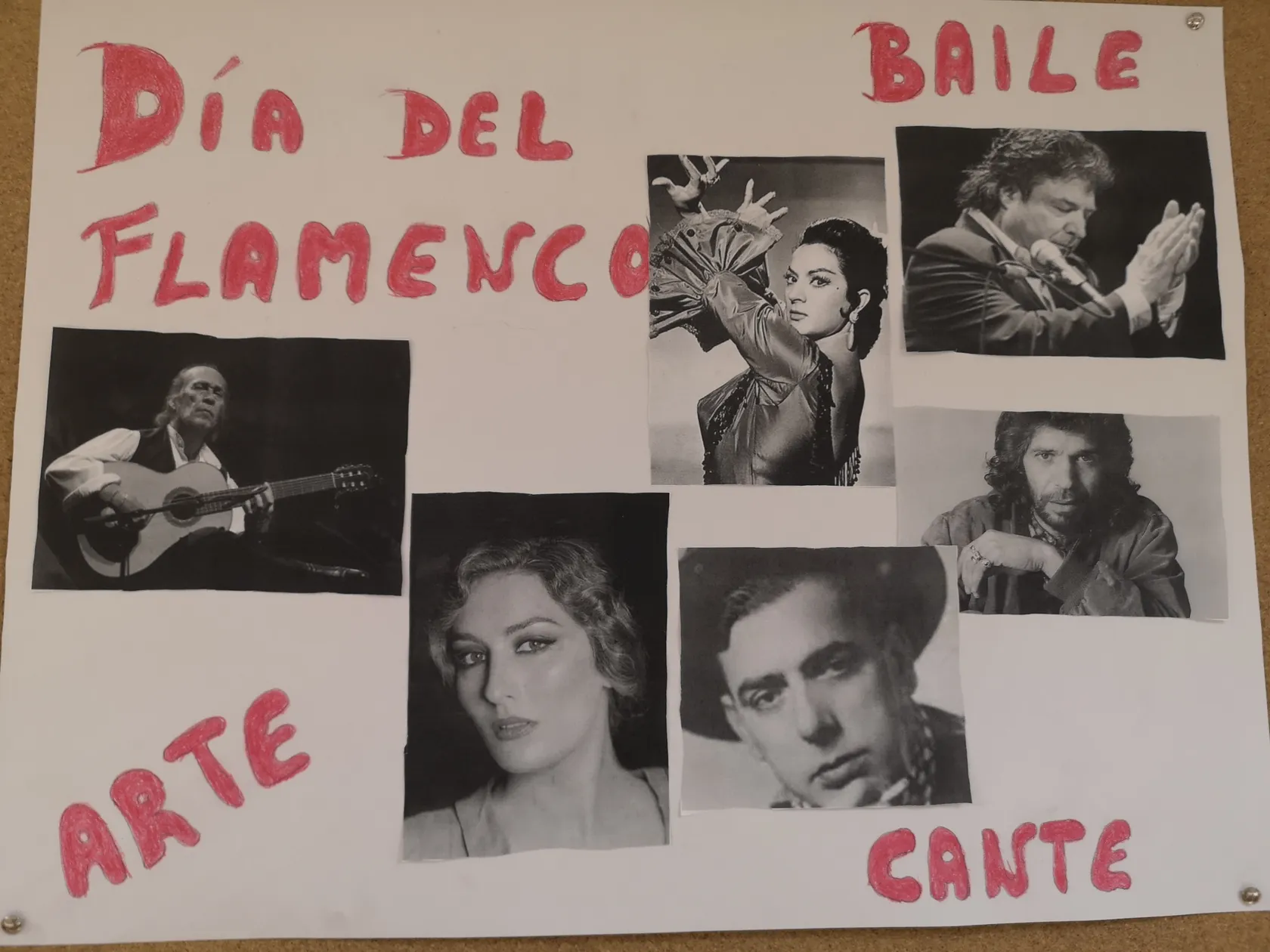 Día-internacional-del-flamenco-en-Condes-de-Corbull-7.jpg