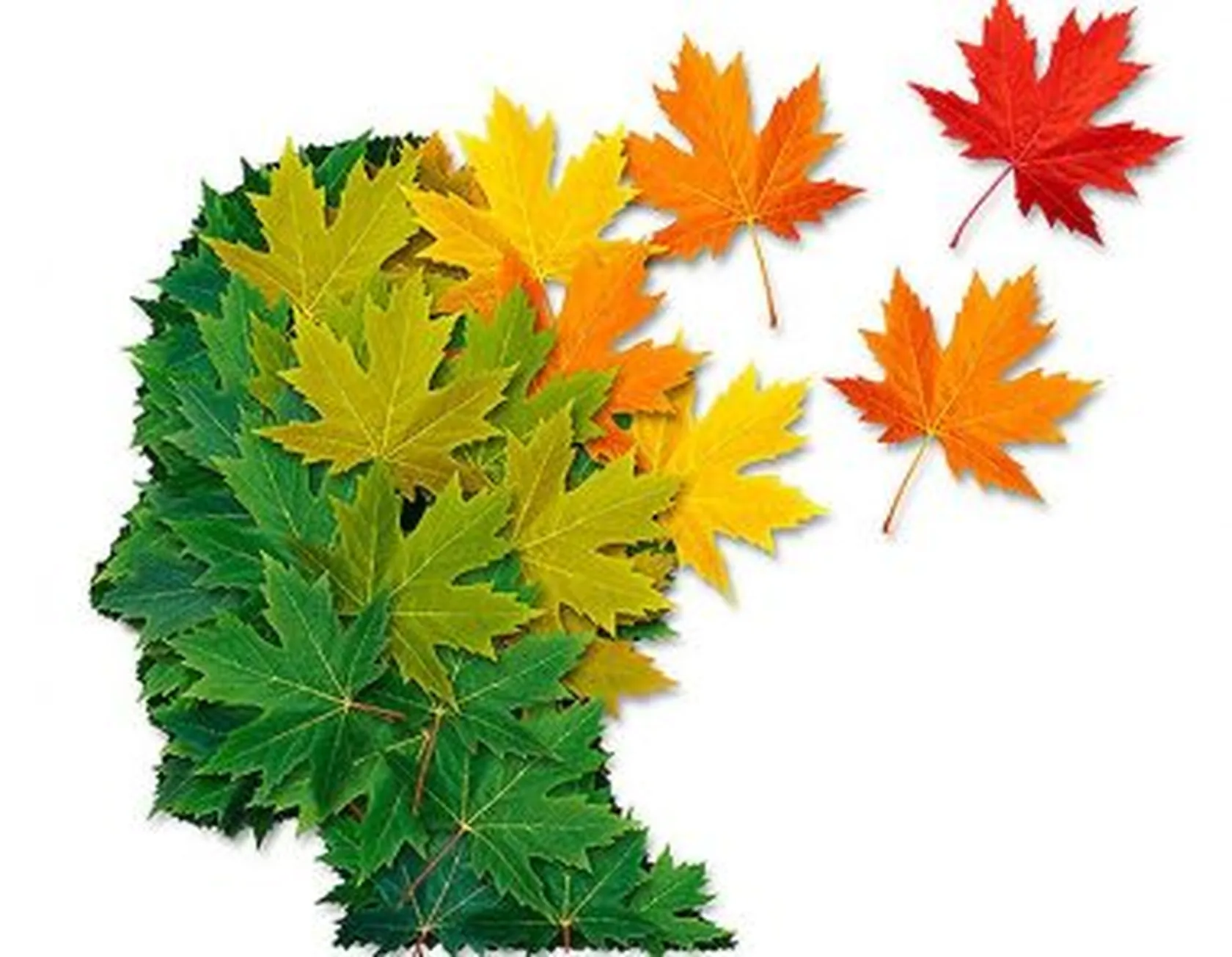 alzheimer_2-e15515539283281.jpg