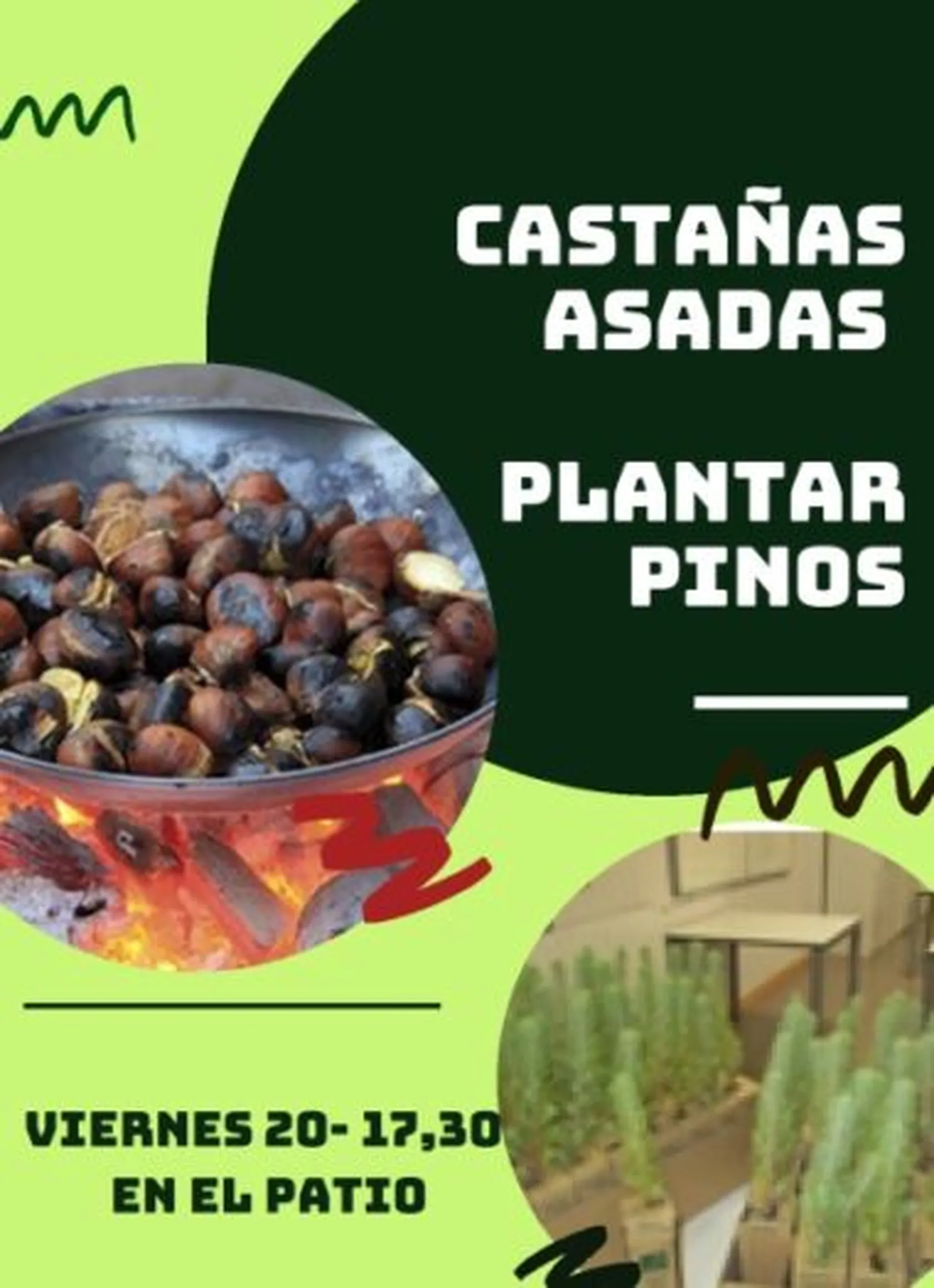 castañas-y-arbol-e1605884137303.jpg