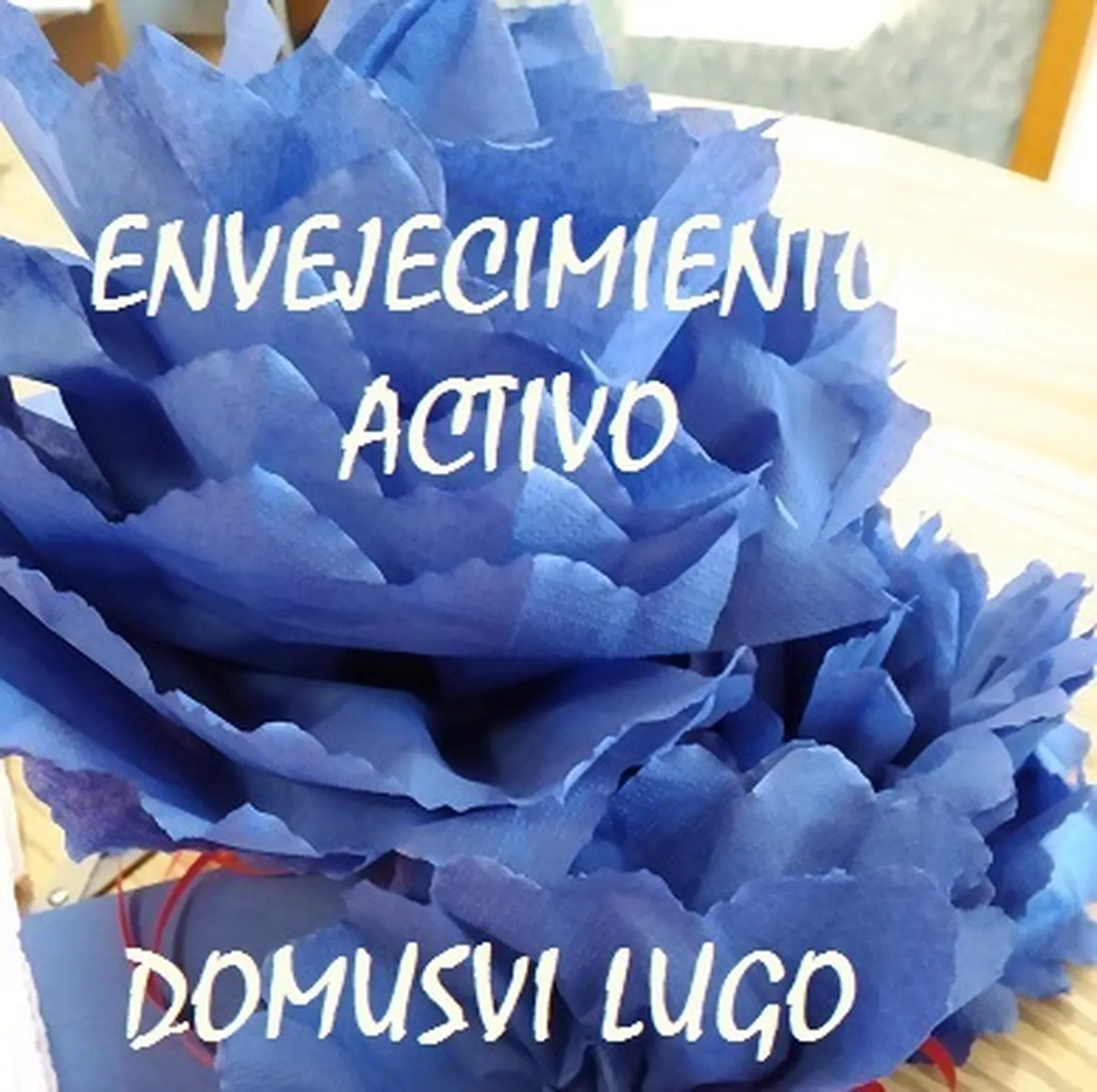 DomusViLugoTOcupacionalesC.jpg