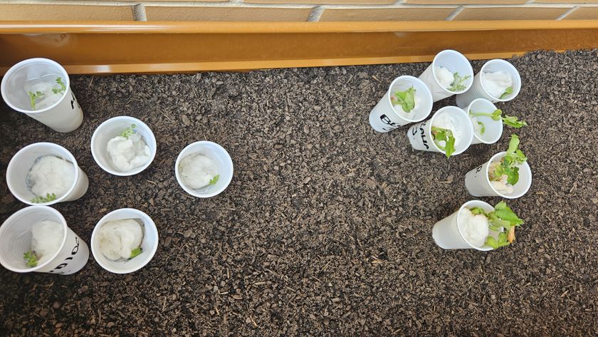 10052024140210SSS20240509_154626 (1).jpg