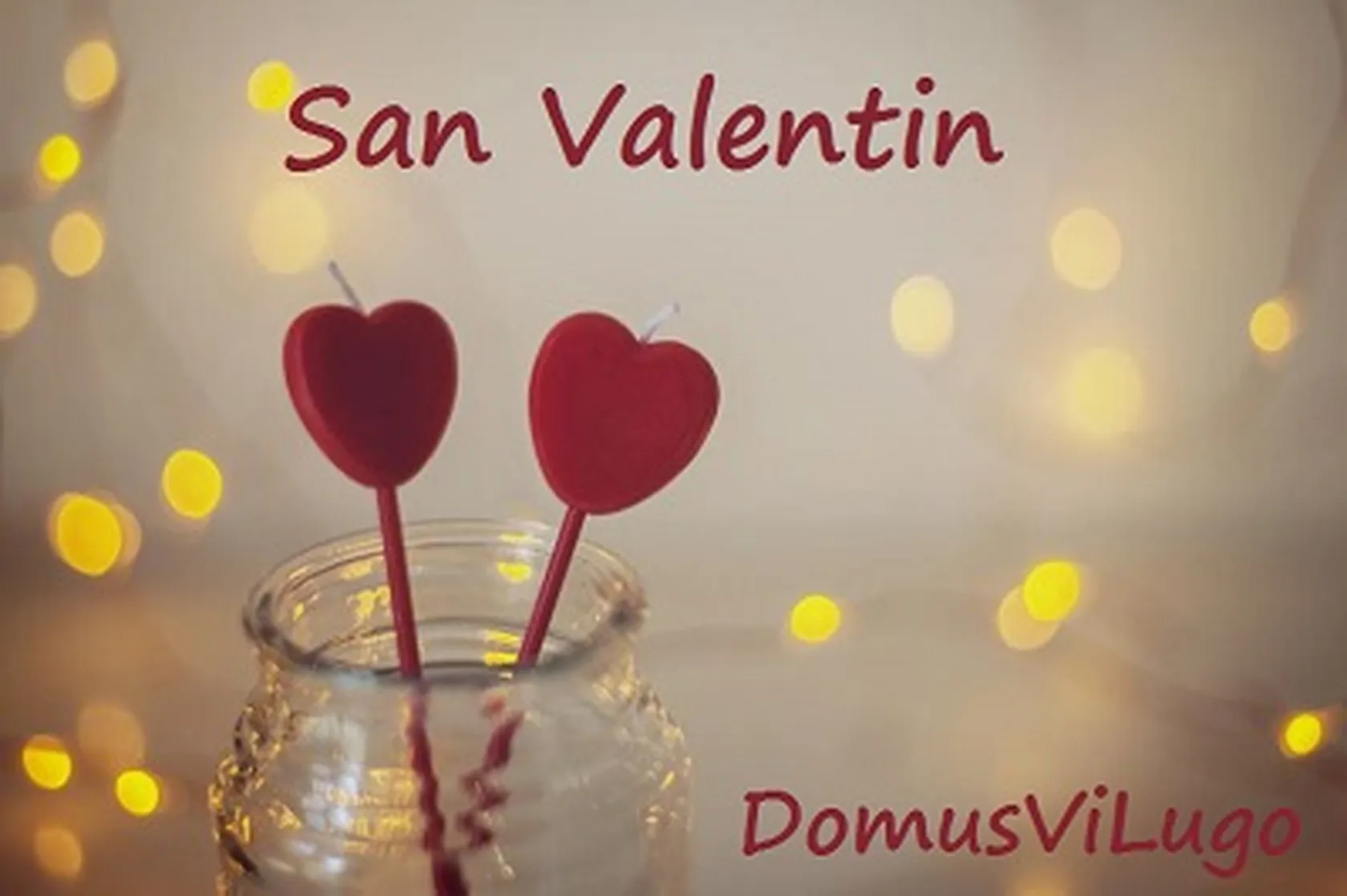 DomusViLugoS.ValentinC.jpg