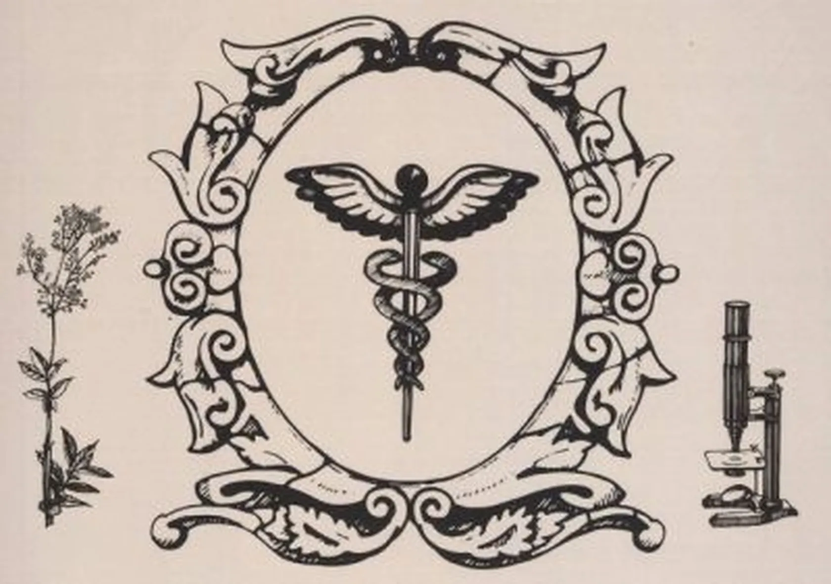 impronta-e1556029806830.jpg