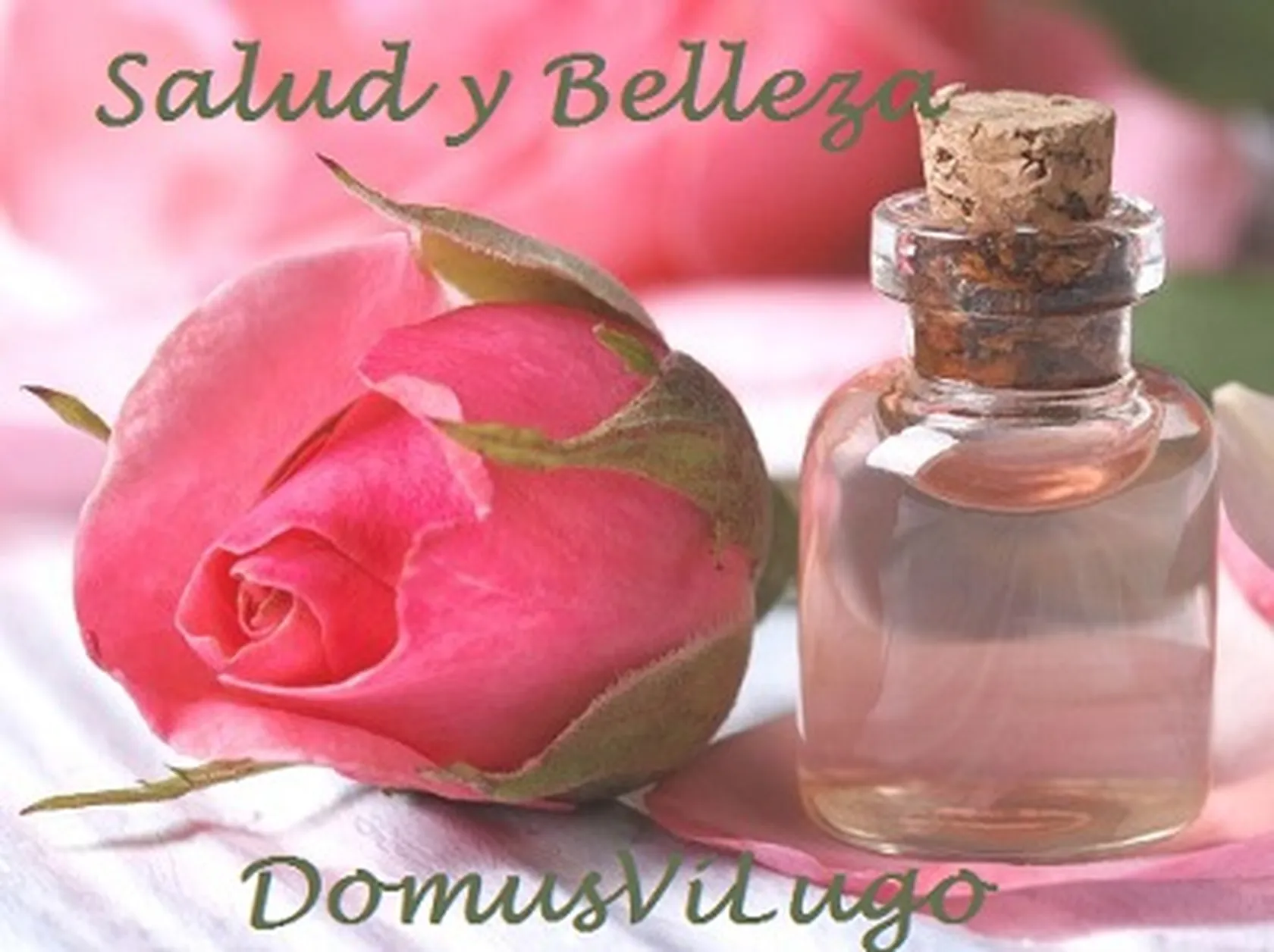 DomusViLugoBellezaC.jpg