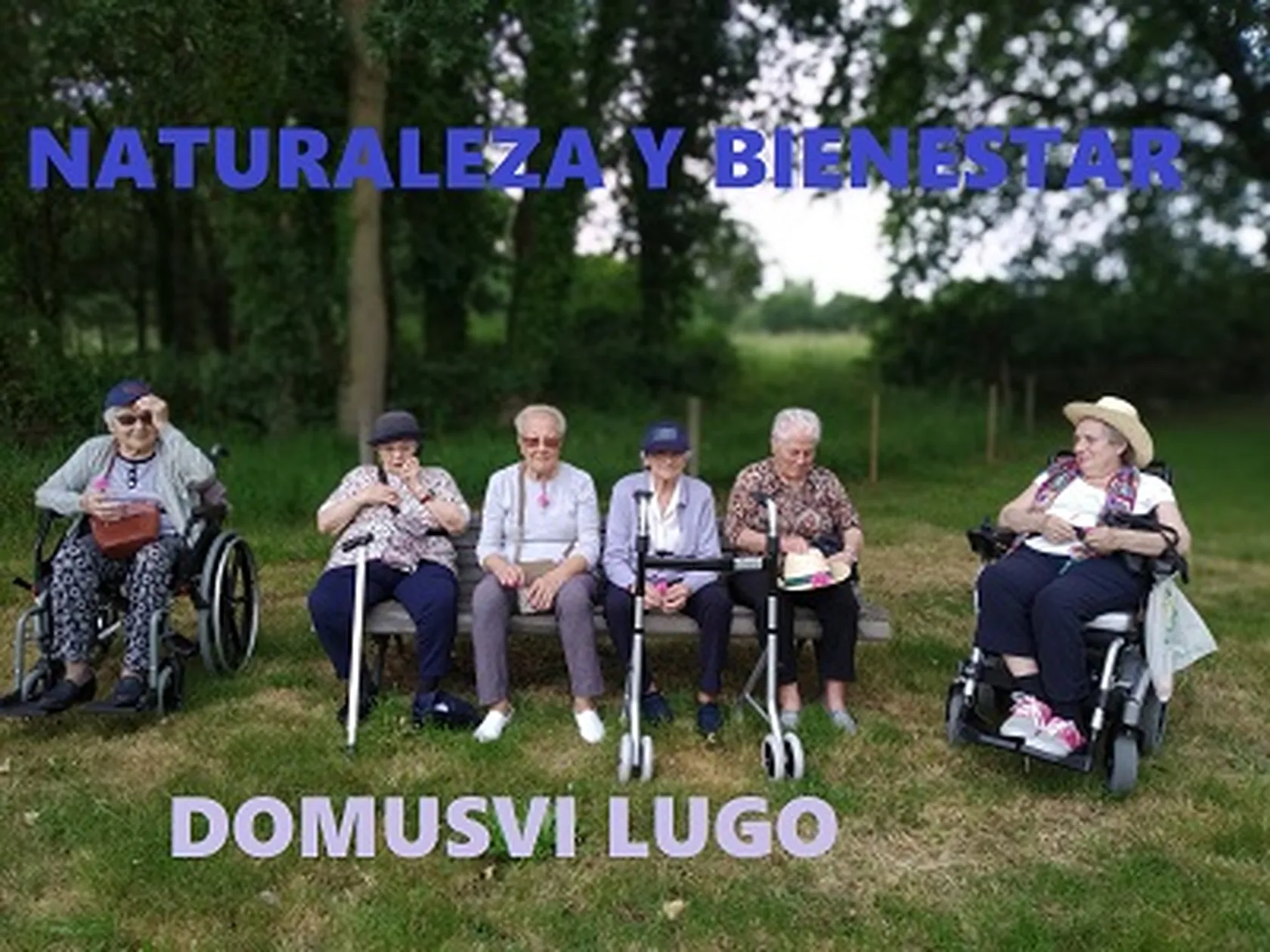 DomusViLugoSaludC.jpg