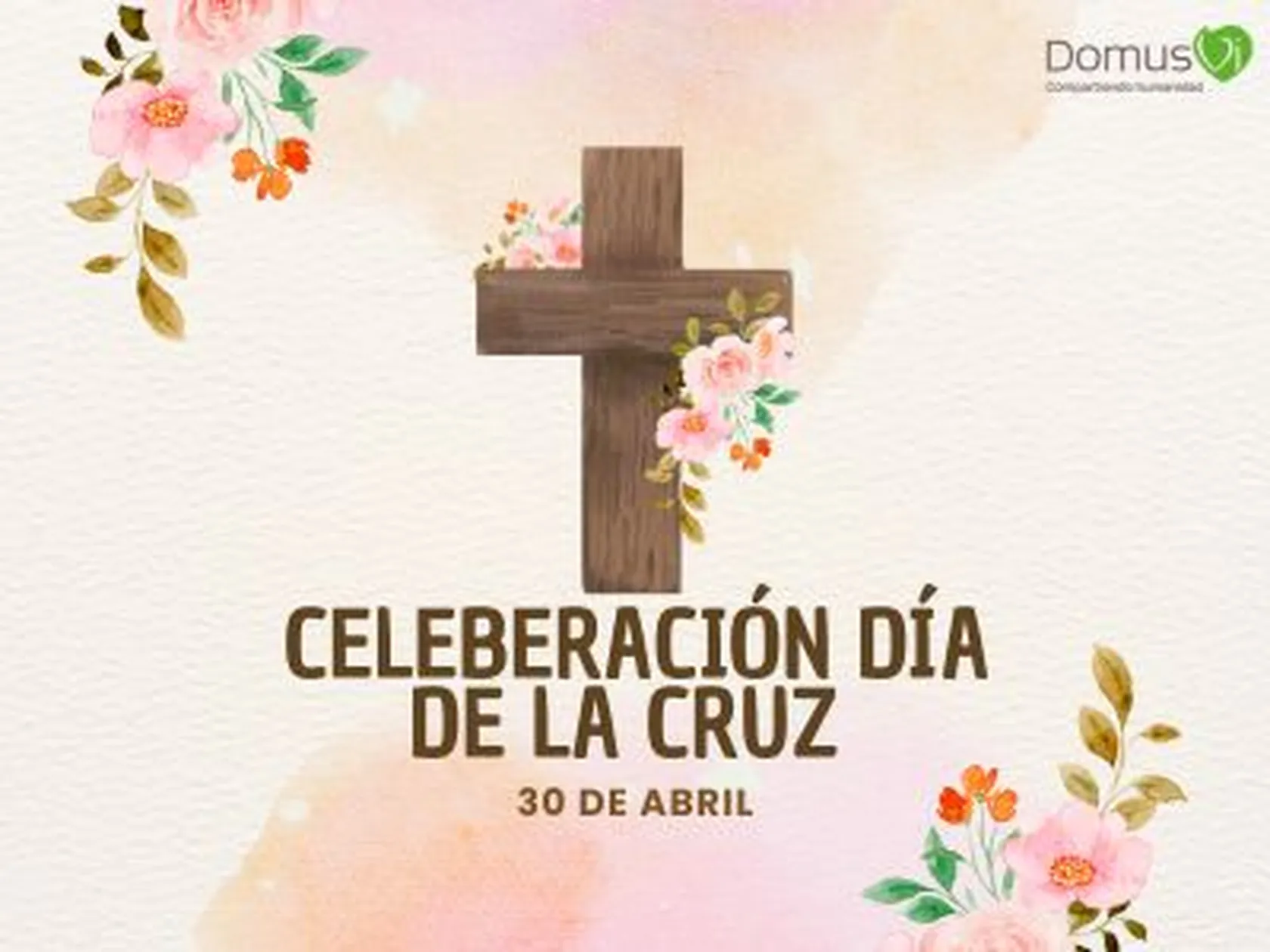 2d3e2d79-41e8-48d7-a534-098514abbeec.jpg