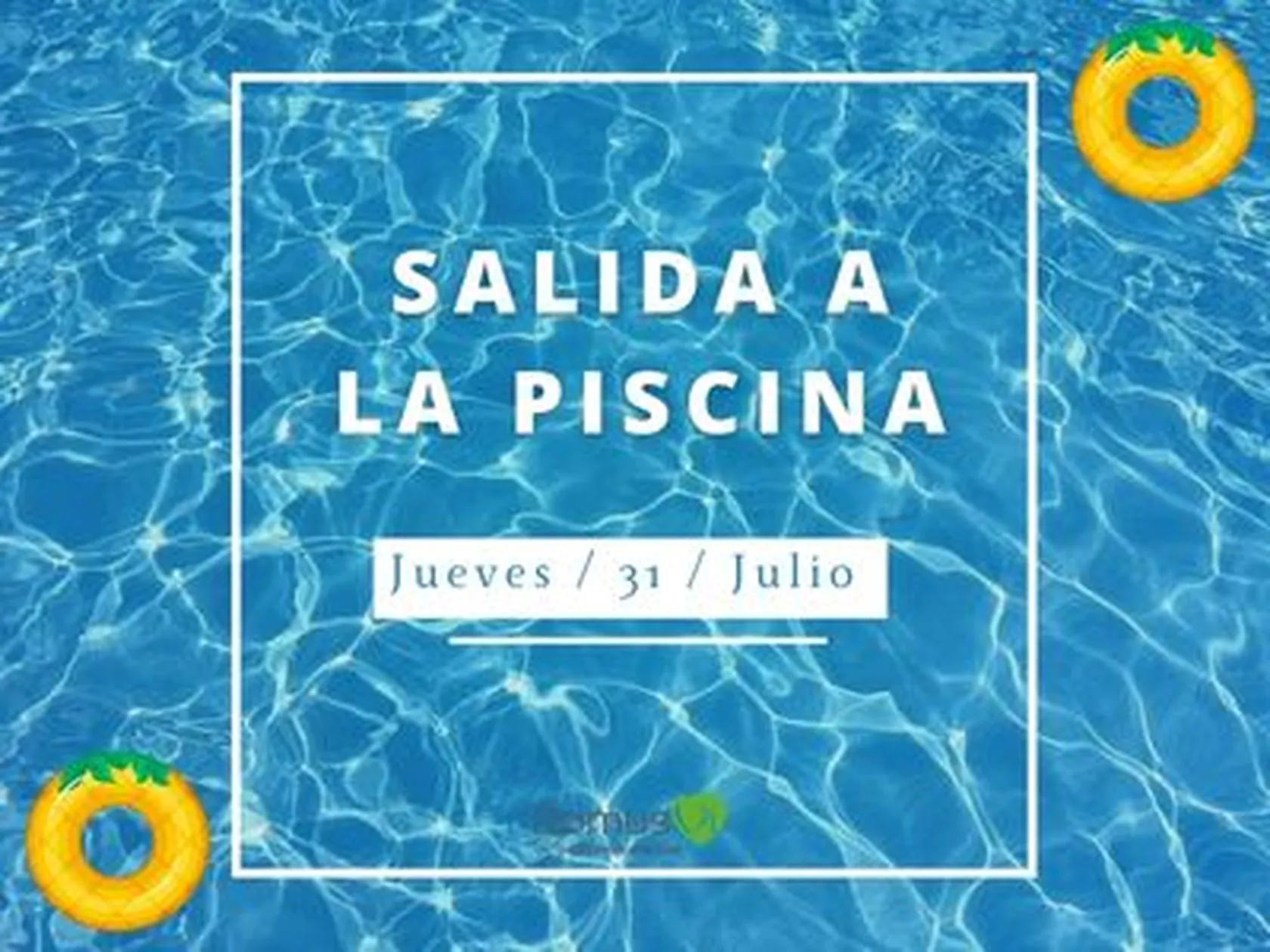 ce4beada-70b3-40e2-af6d-3ed61f4b7c18.jpg