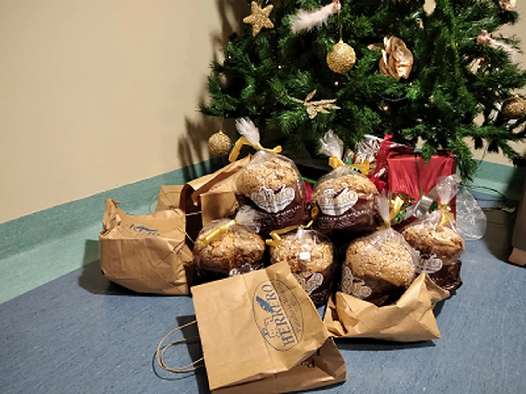 PORTADA-PANETTONE.png