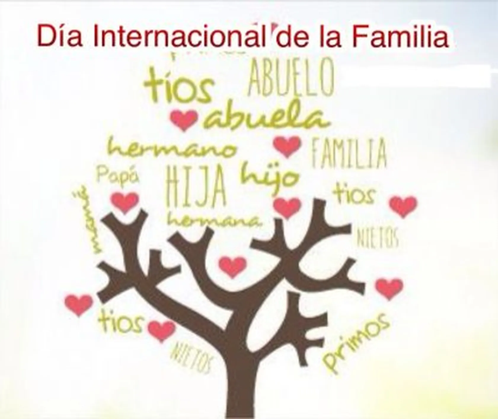 día-de-la-familia-en-DomisVi-Coruña.-e1556899275447.jpg