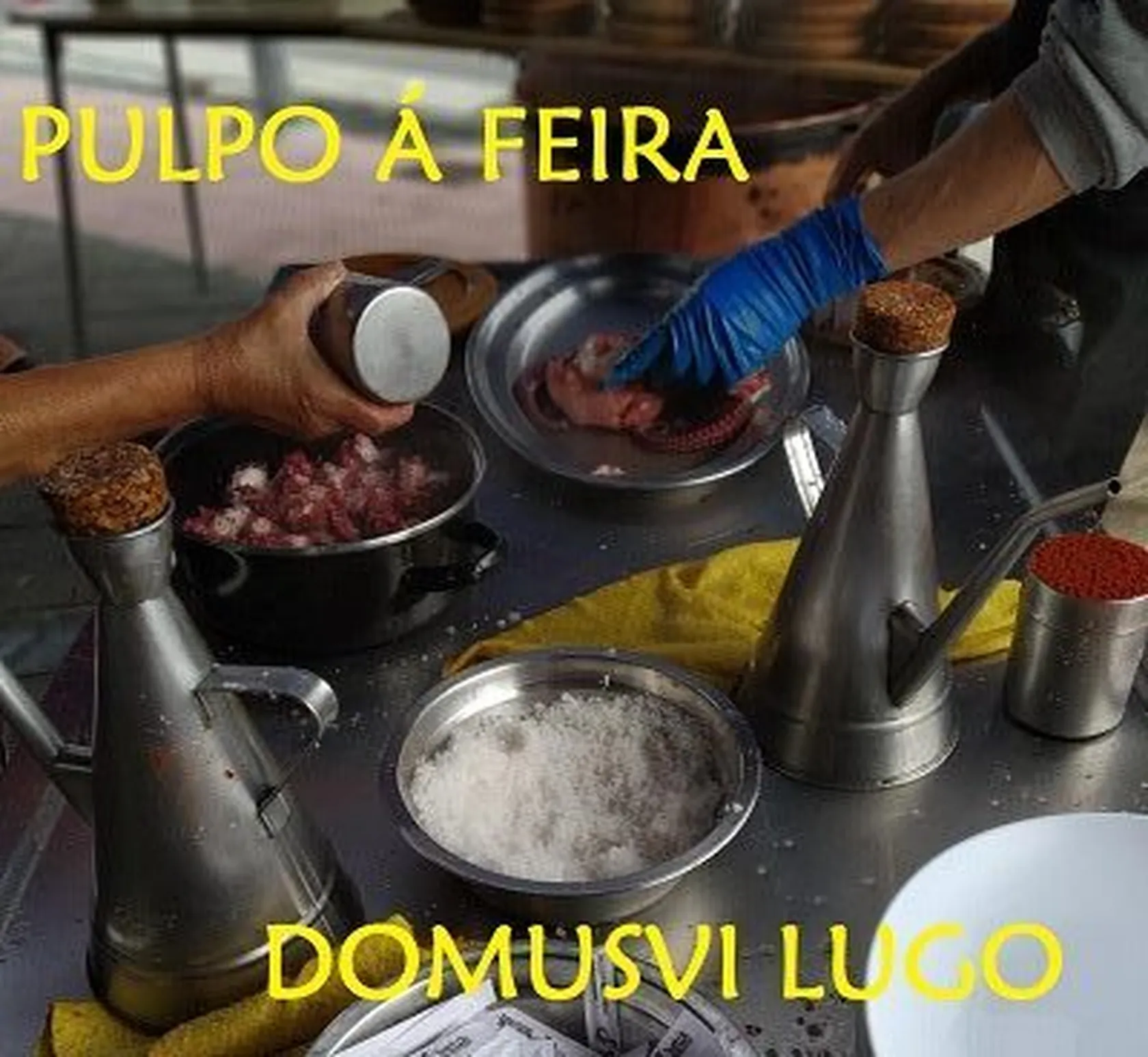 DomusViLugopulpoC-rotated-e1634139599897.jpg