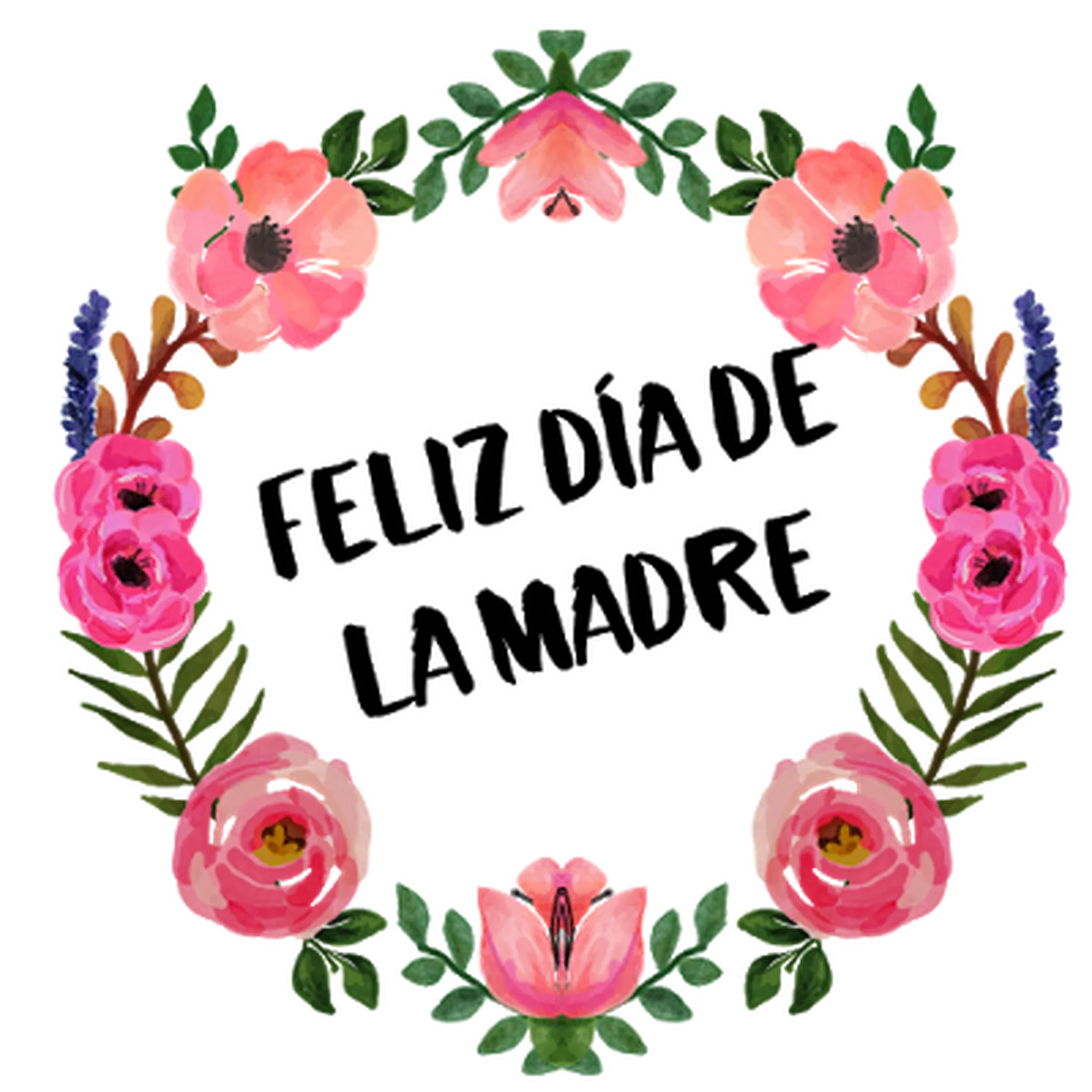 feliz.png