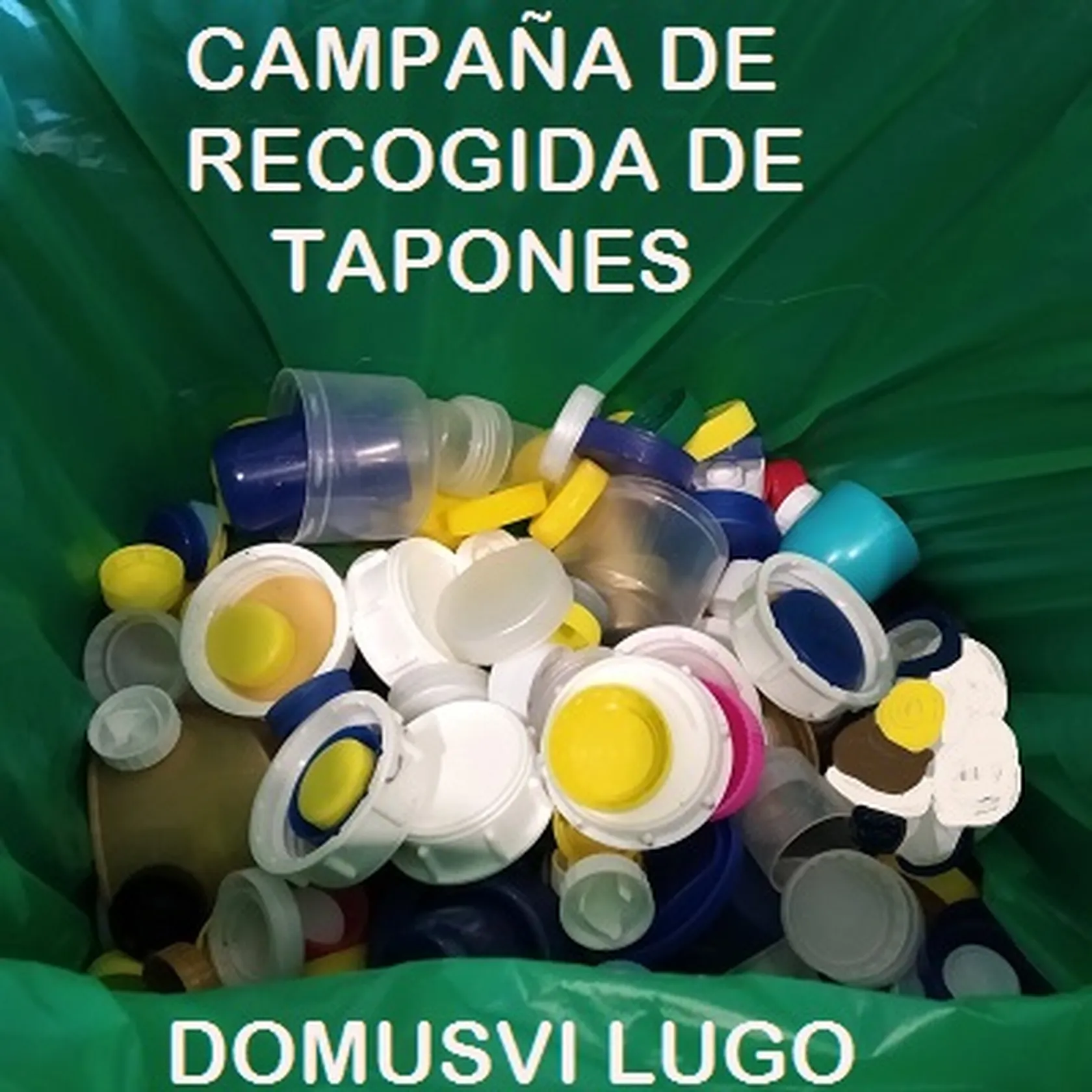 DomusViLugoTaponesAngelaC.jpg
