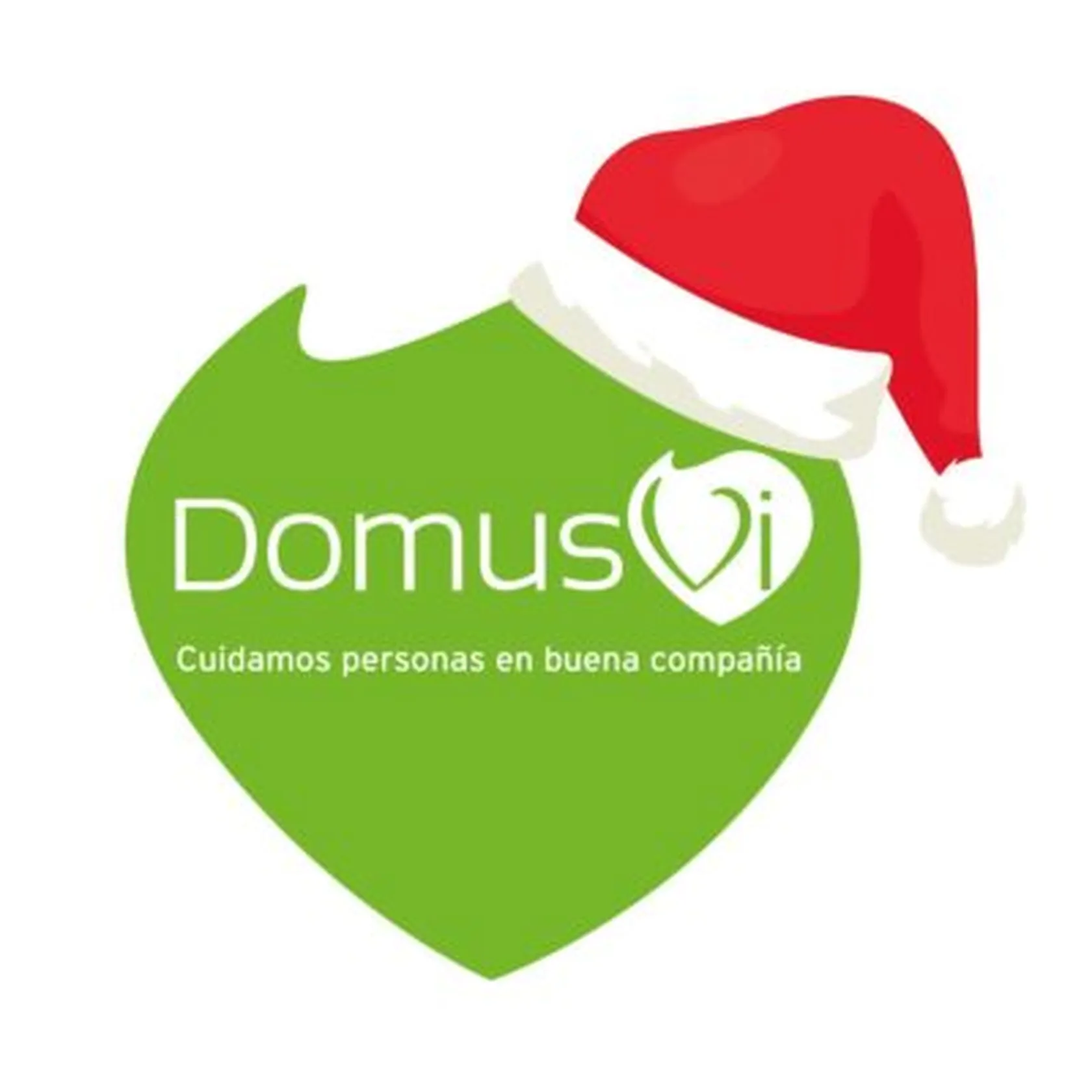 domusvi-navideño-e1608290790862.jpg