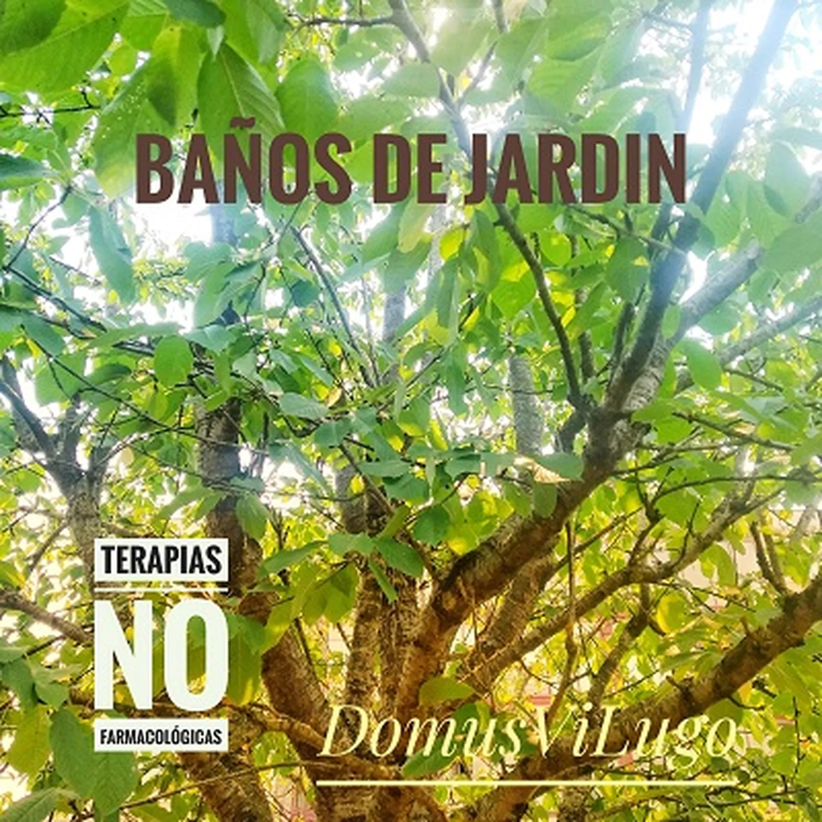 DVLugoBanosJardinC.jpg