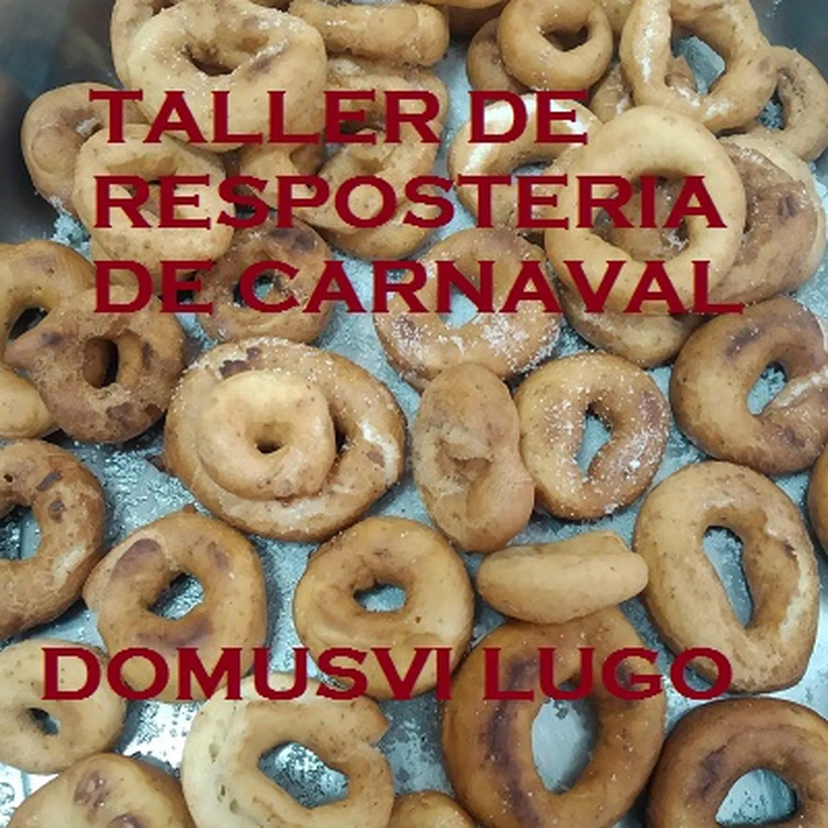 DomusViLugoCocinaCarnavalc.jpg