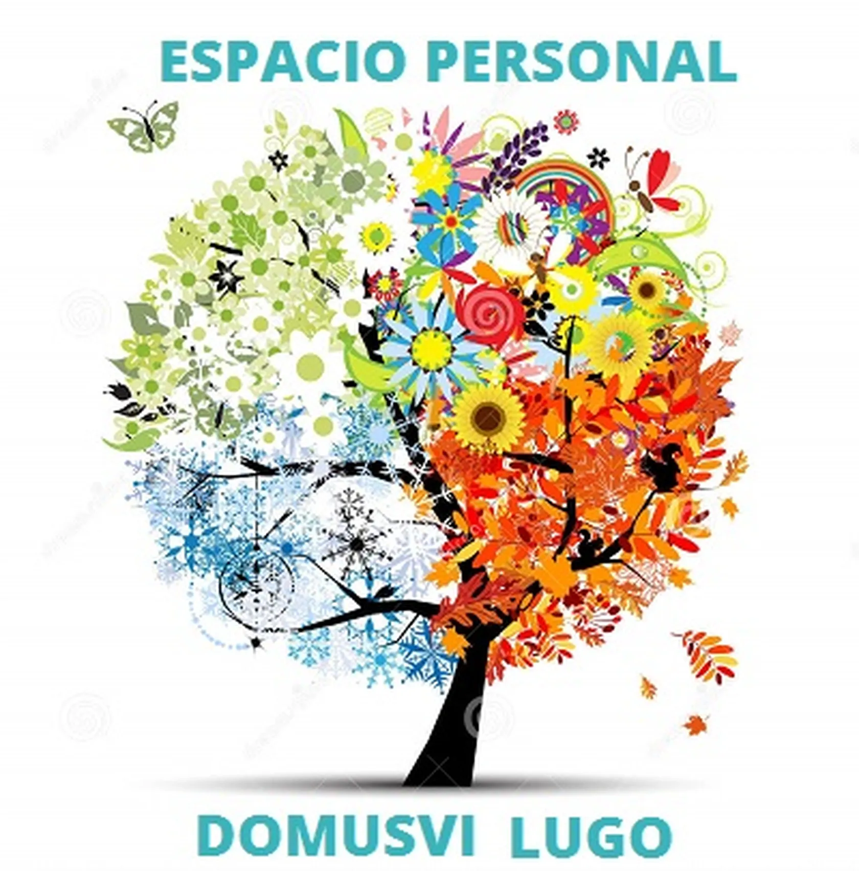 DomusviLugoEPIMarzo22.jpg