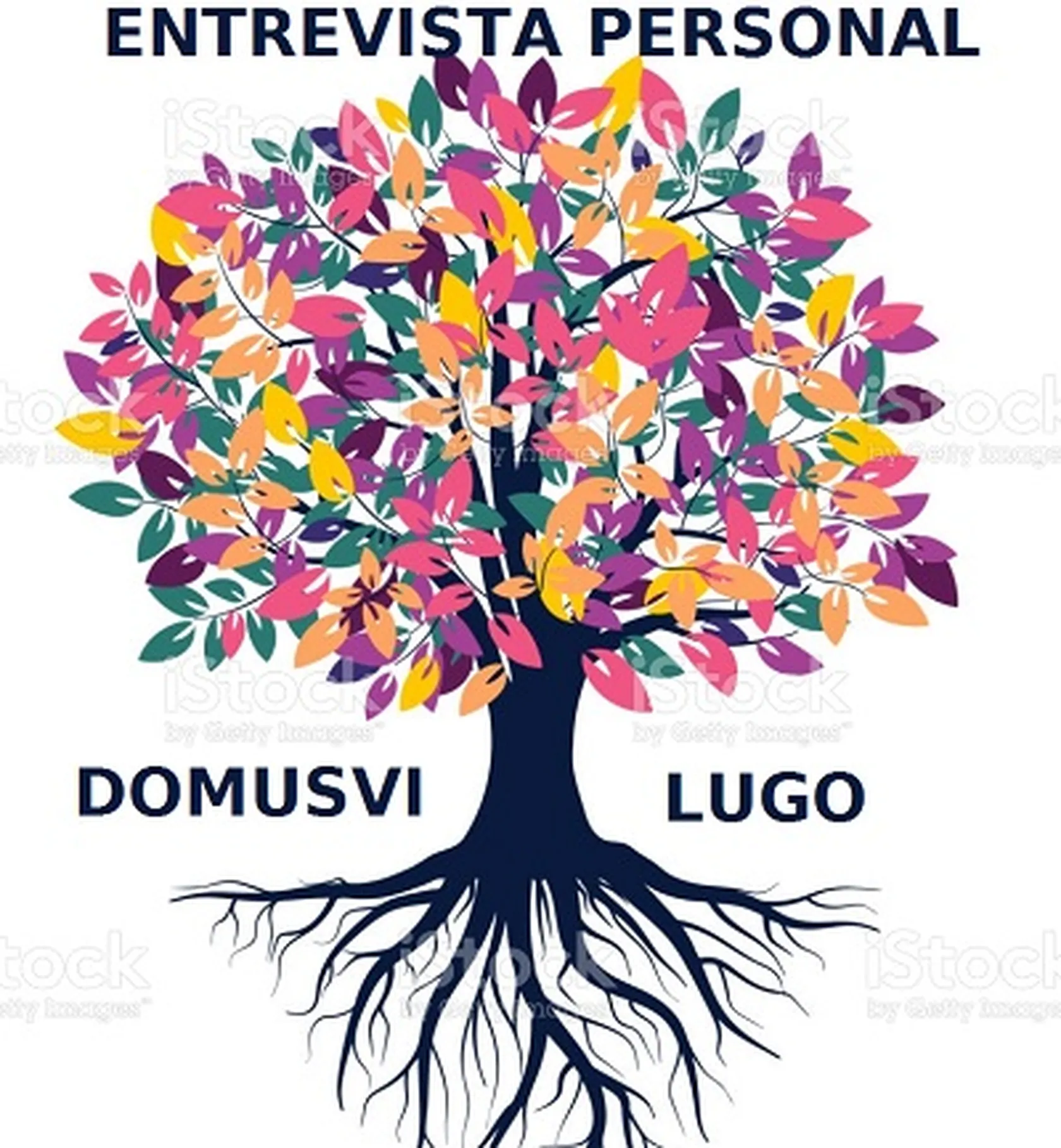 DomusViLugoEPI.jpg
