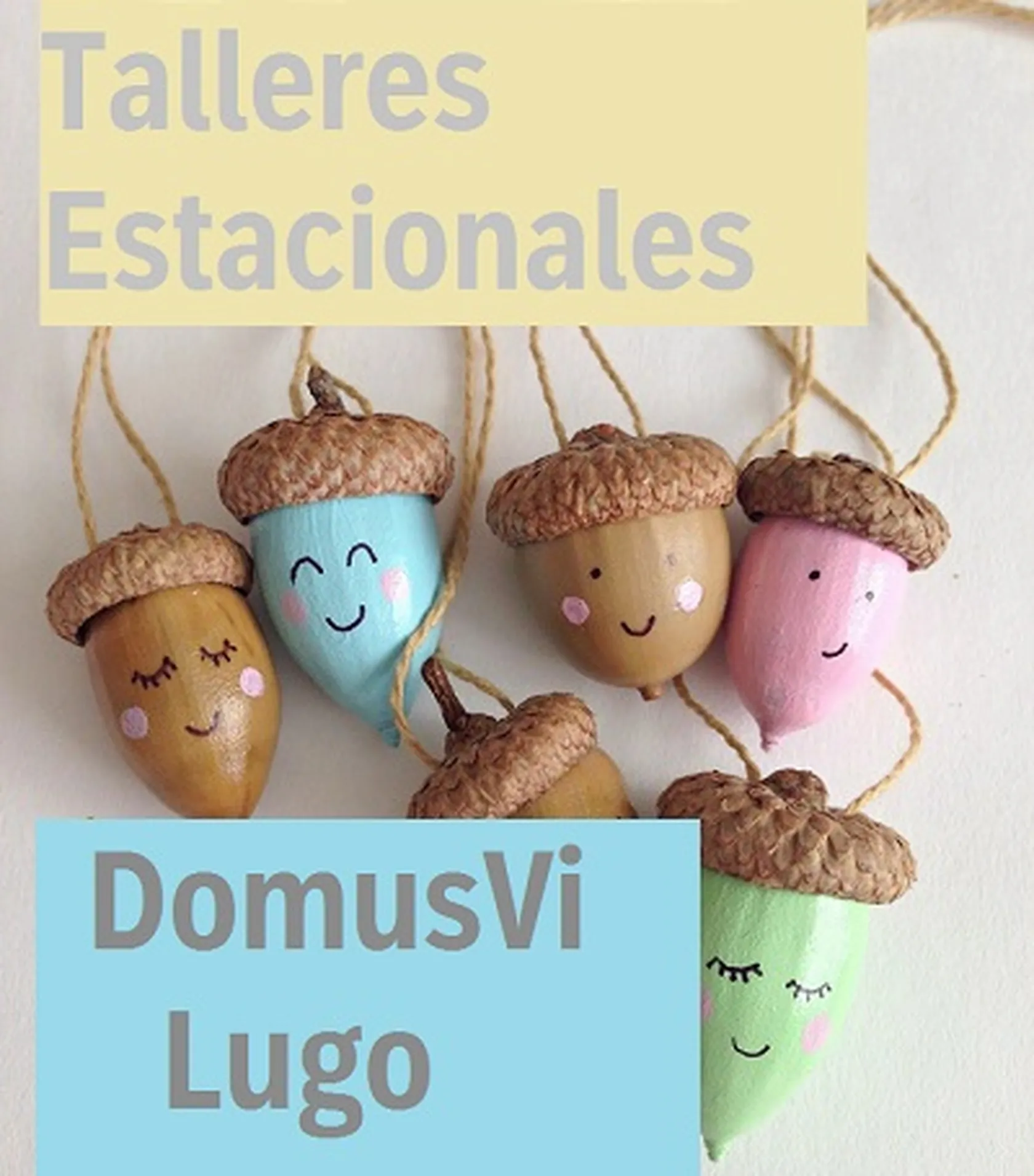 DomusViLugoTalleresEstacionalesC.jpg