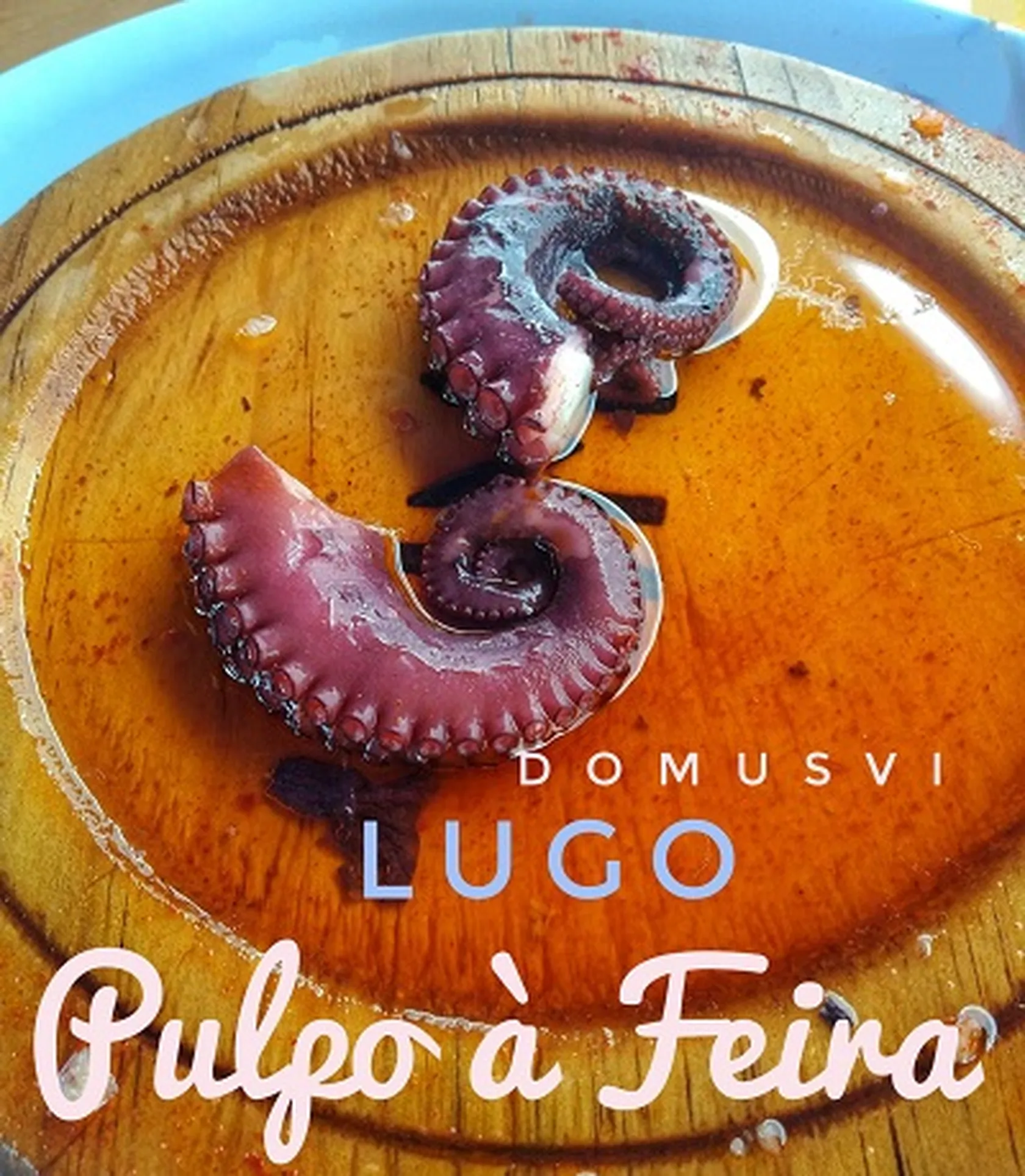 DomusViLugoFeiraC.jpg