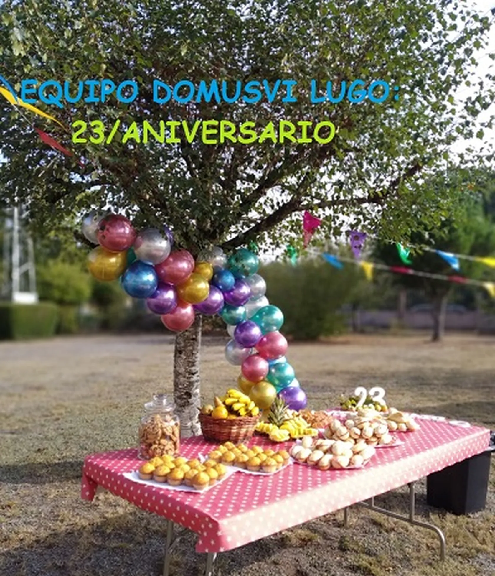 DVLugoAniversarioEquipoC.jpg