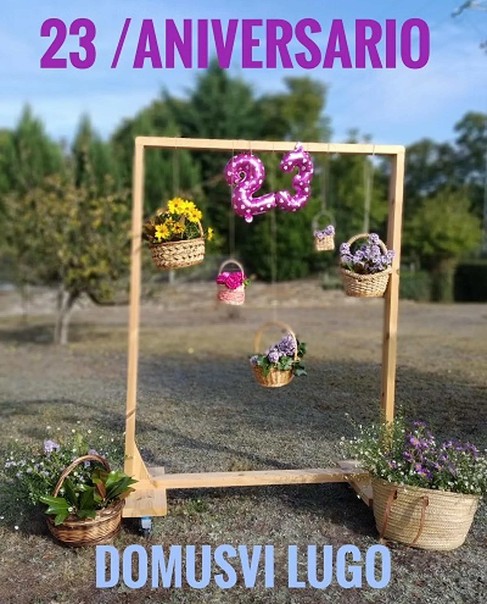 DV23AniversarioC.jpg