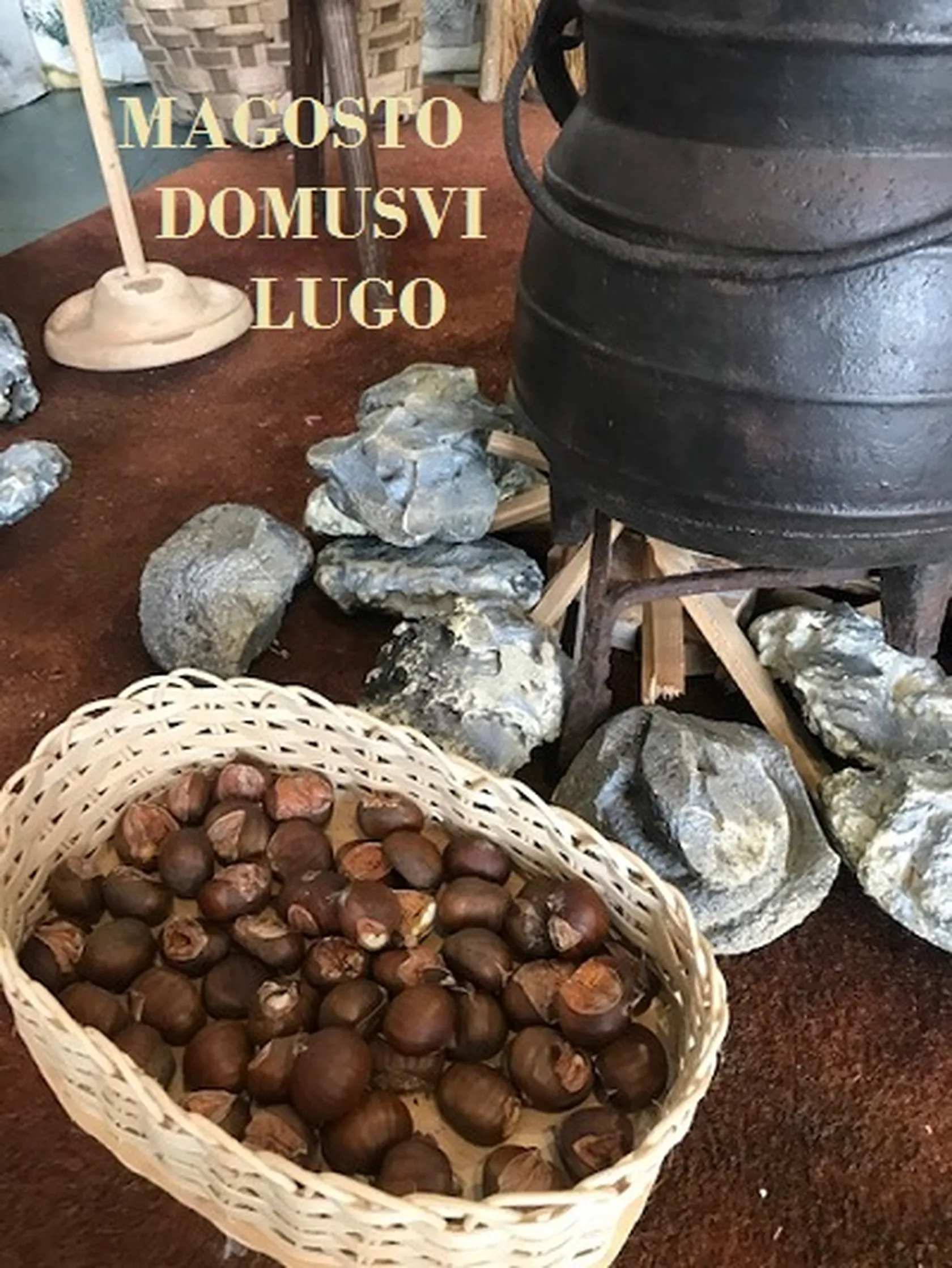 MagostoDomusViLugoC.jpg