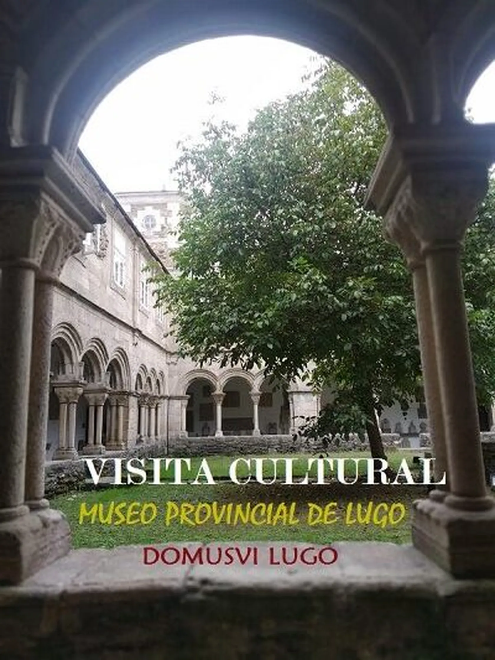 DomusviLugoMuseoc-rotated-e1634135390737.jpg
