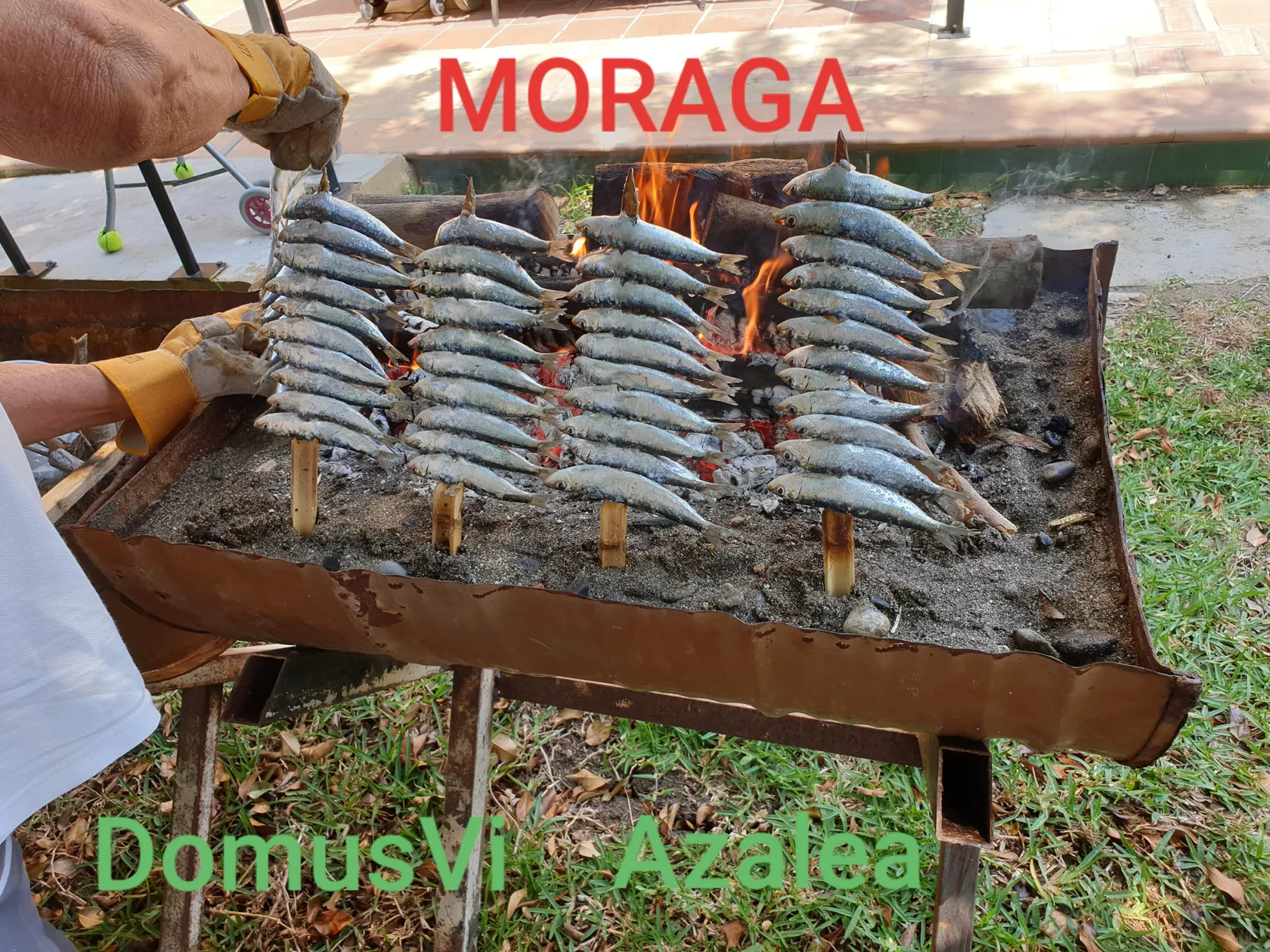portada-moraga.jpg