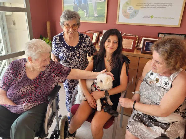 Terapia con animales