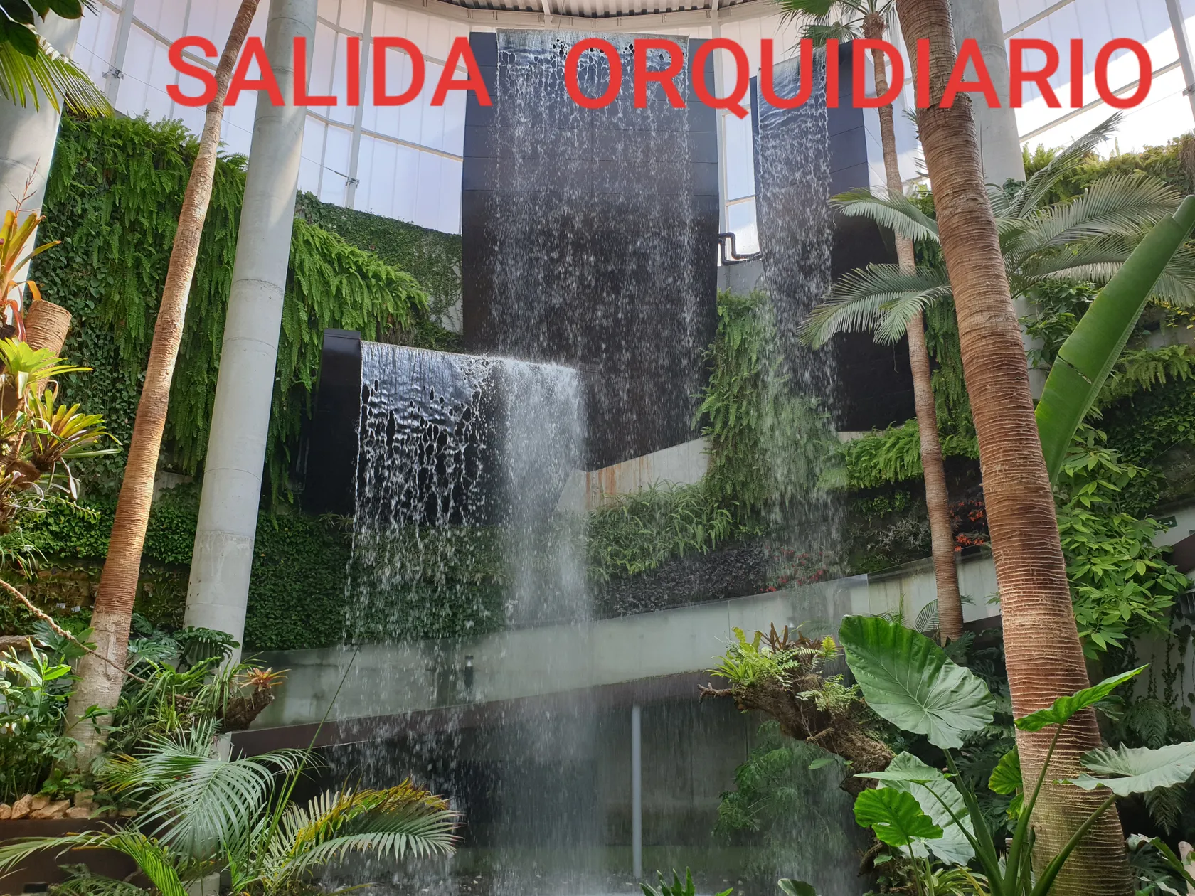 portada-orquisario.jpg