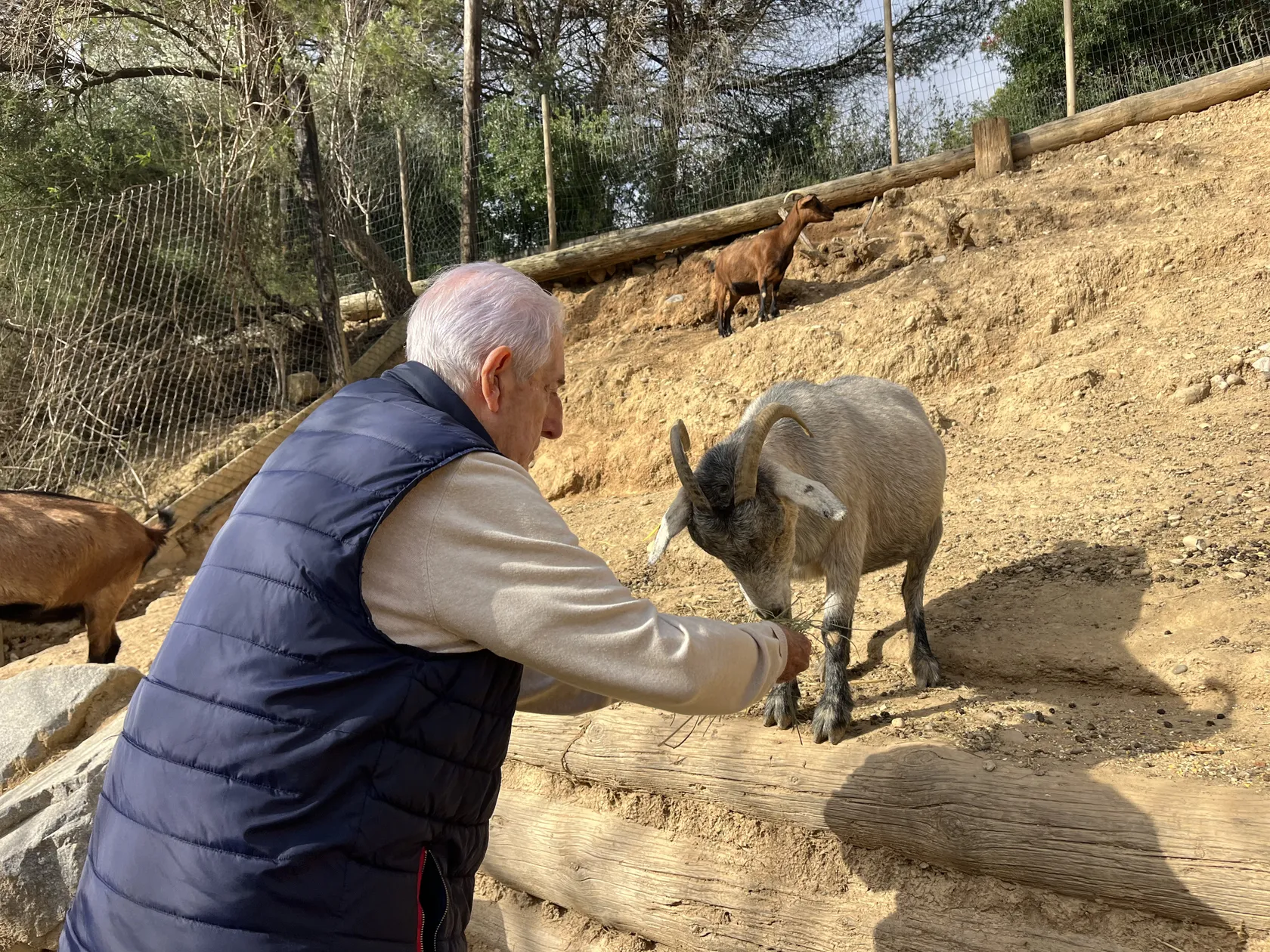 bfe539a7-72a4-4375-9982-6baf599d6ba4.jpg