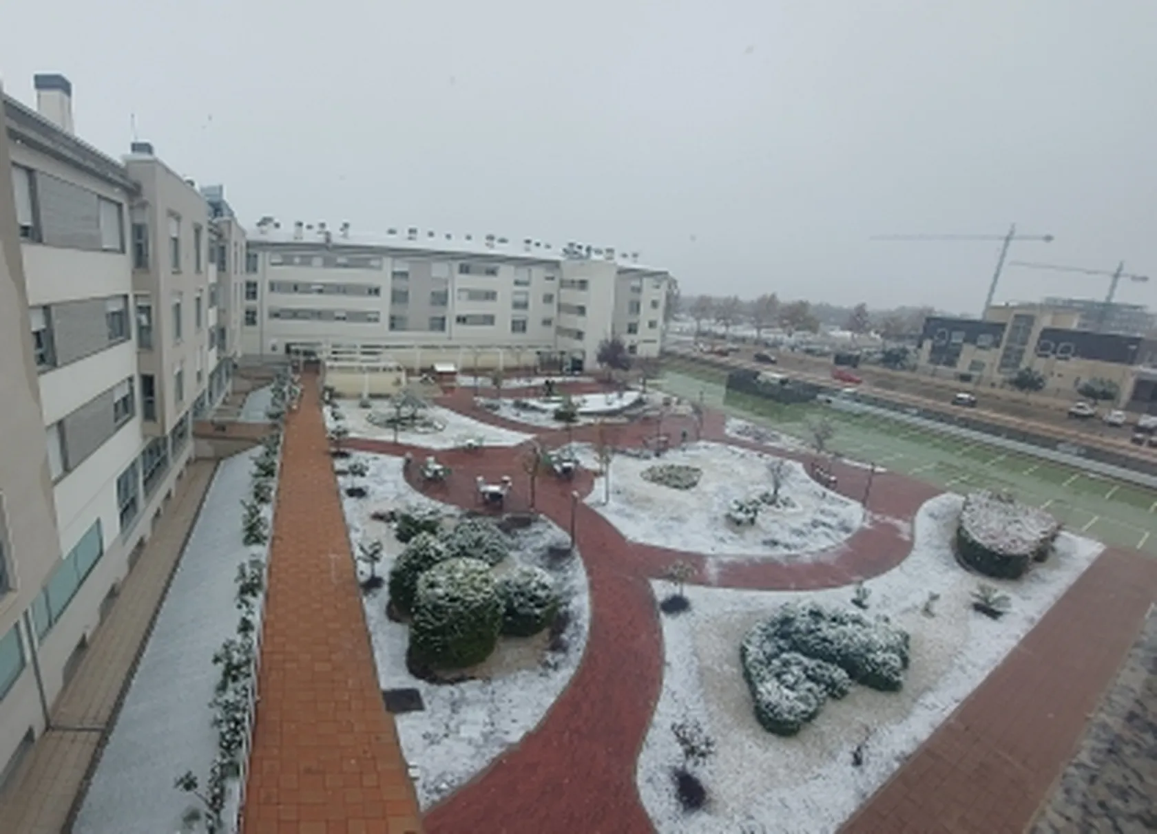 20211124_114119-1.jpg