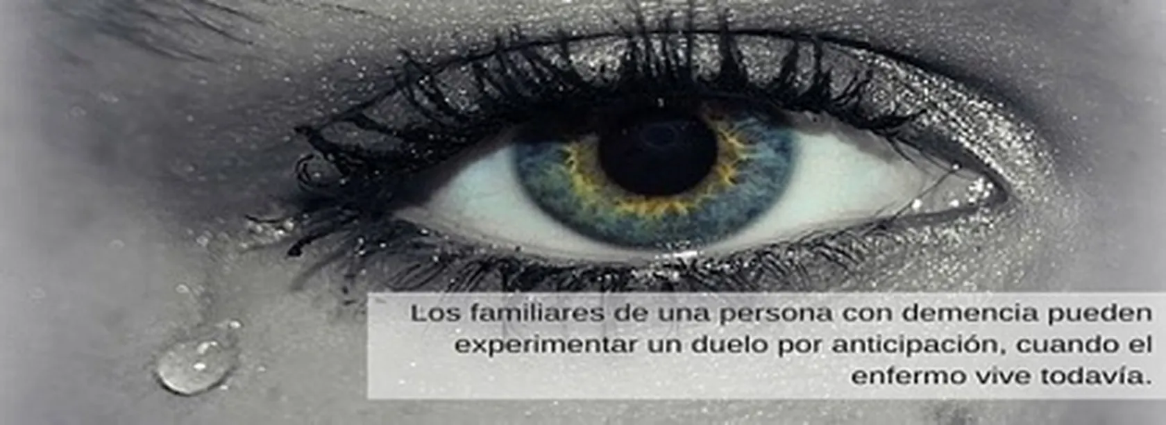 FOTO-PARA-BLOG.jpg