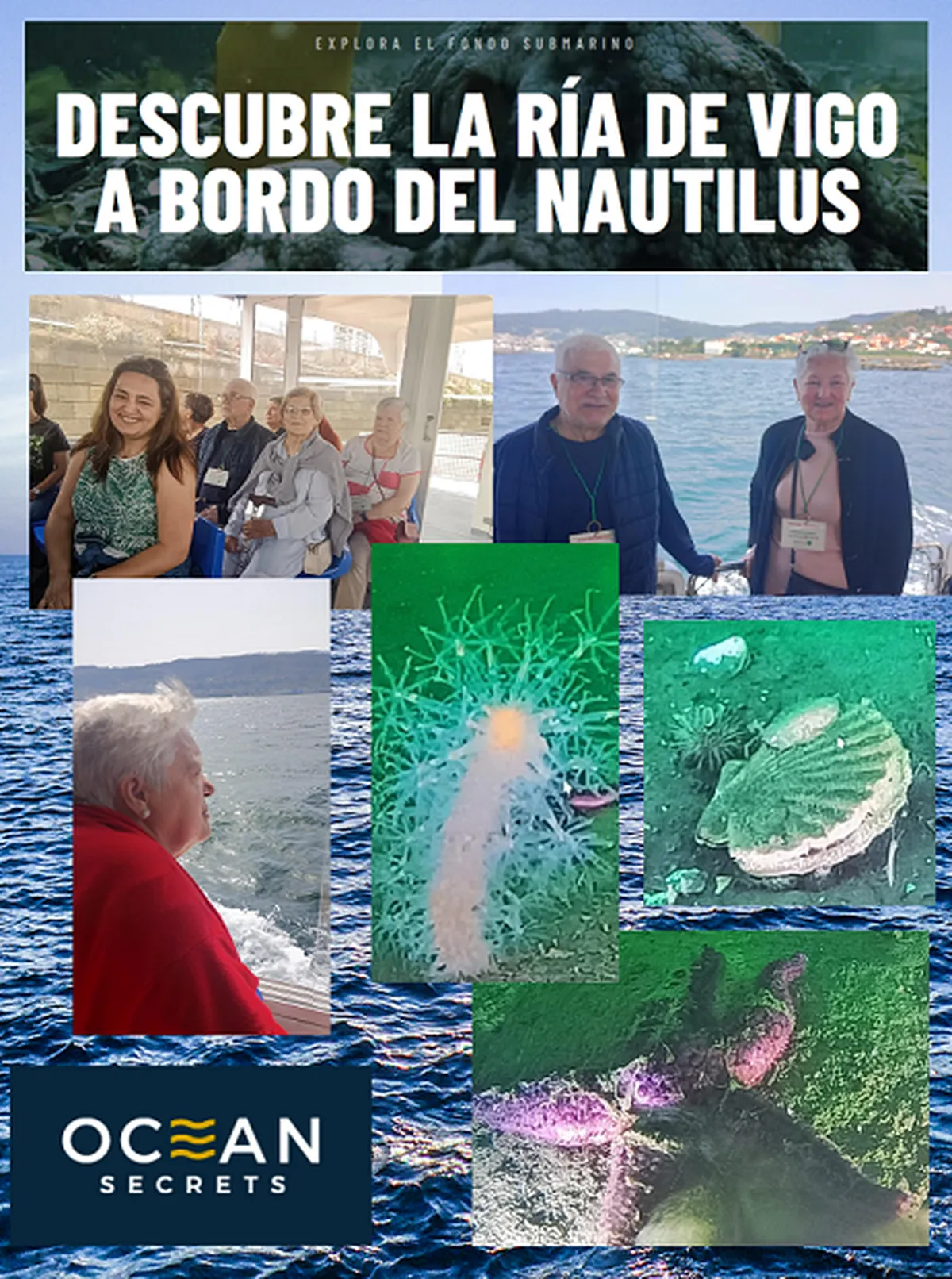 Excursión en barco