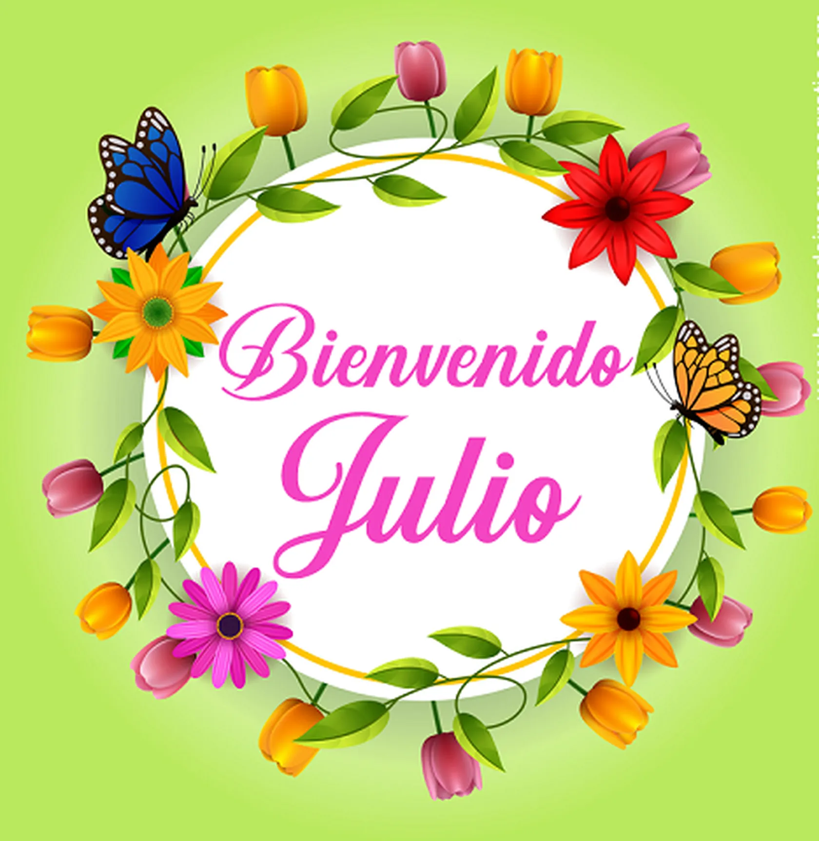 postales-bonitas-para-compartir-e-imagenes-con-mensaje-de-bienvenido-julio-7.png