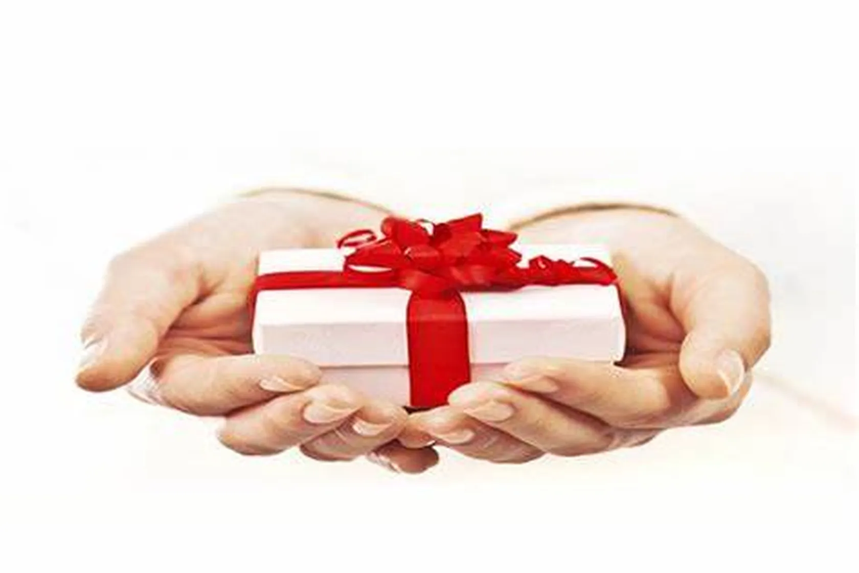 REGALO.jpg