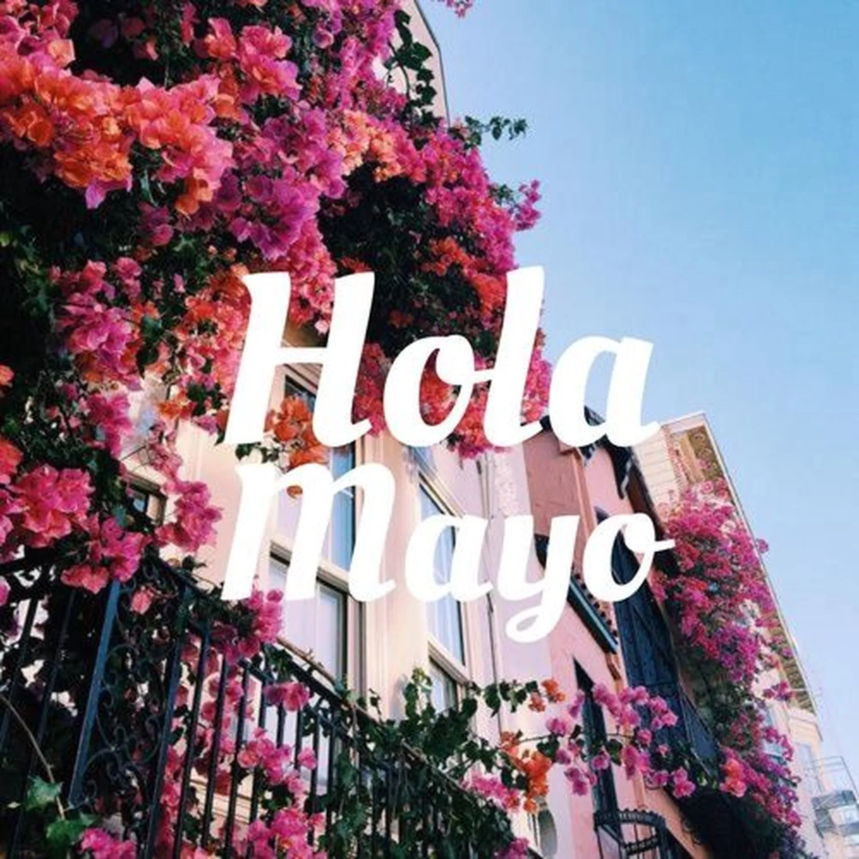 255225-Hola-Mayo.jpg