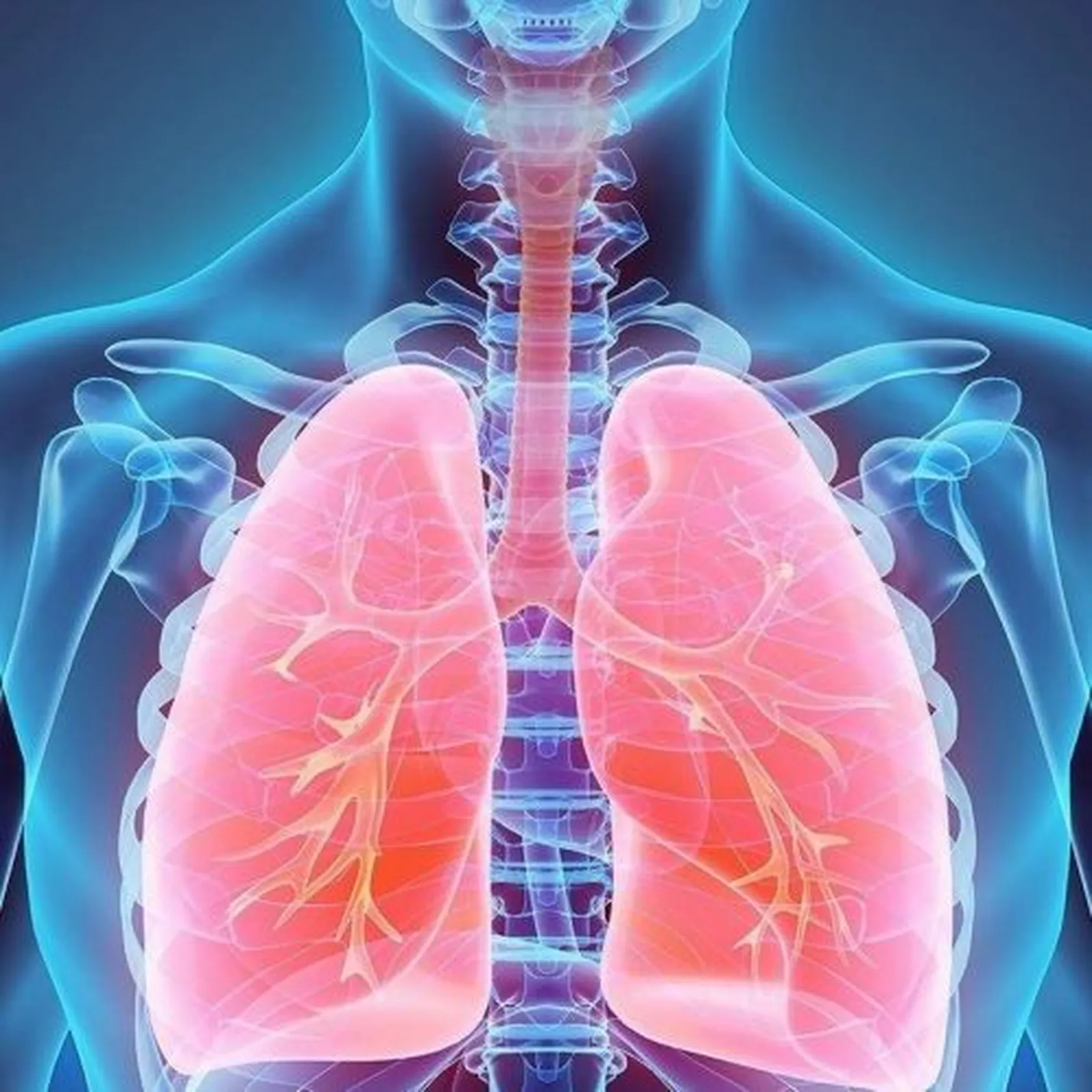 rehabilitacion-respiratoria-nre2qymx3mmgc7iqvluko4sg53kpei6dll195zyc20.jpg