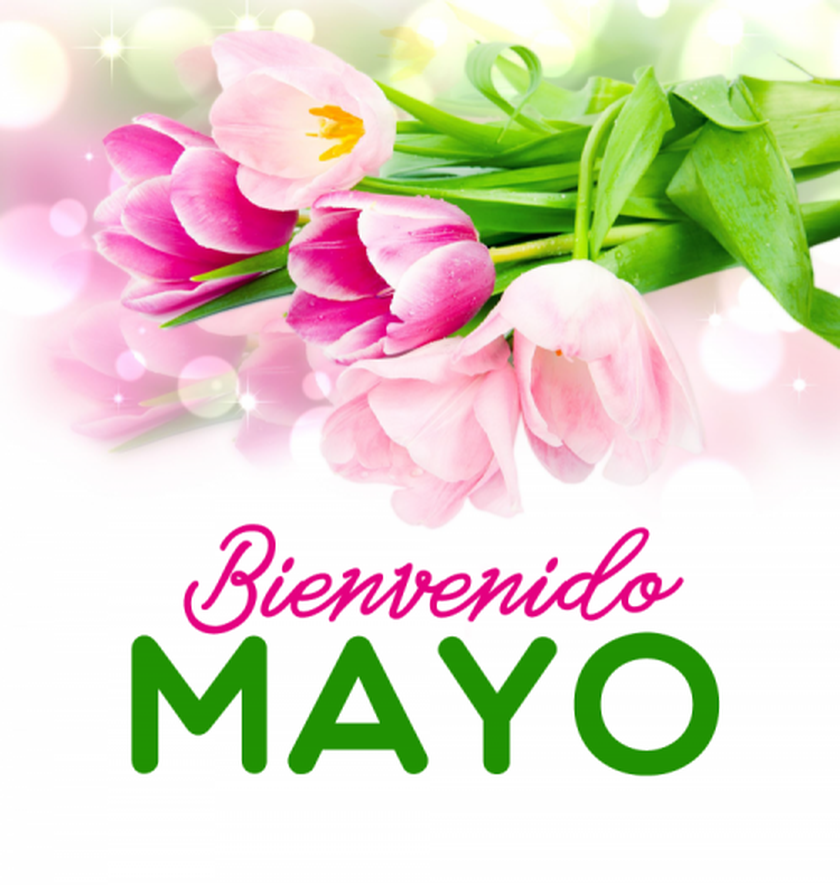 00001-imagenes-y-tarjetas-con-mensaje-de-bienvenido-mayo-5-500x527-1.png