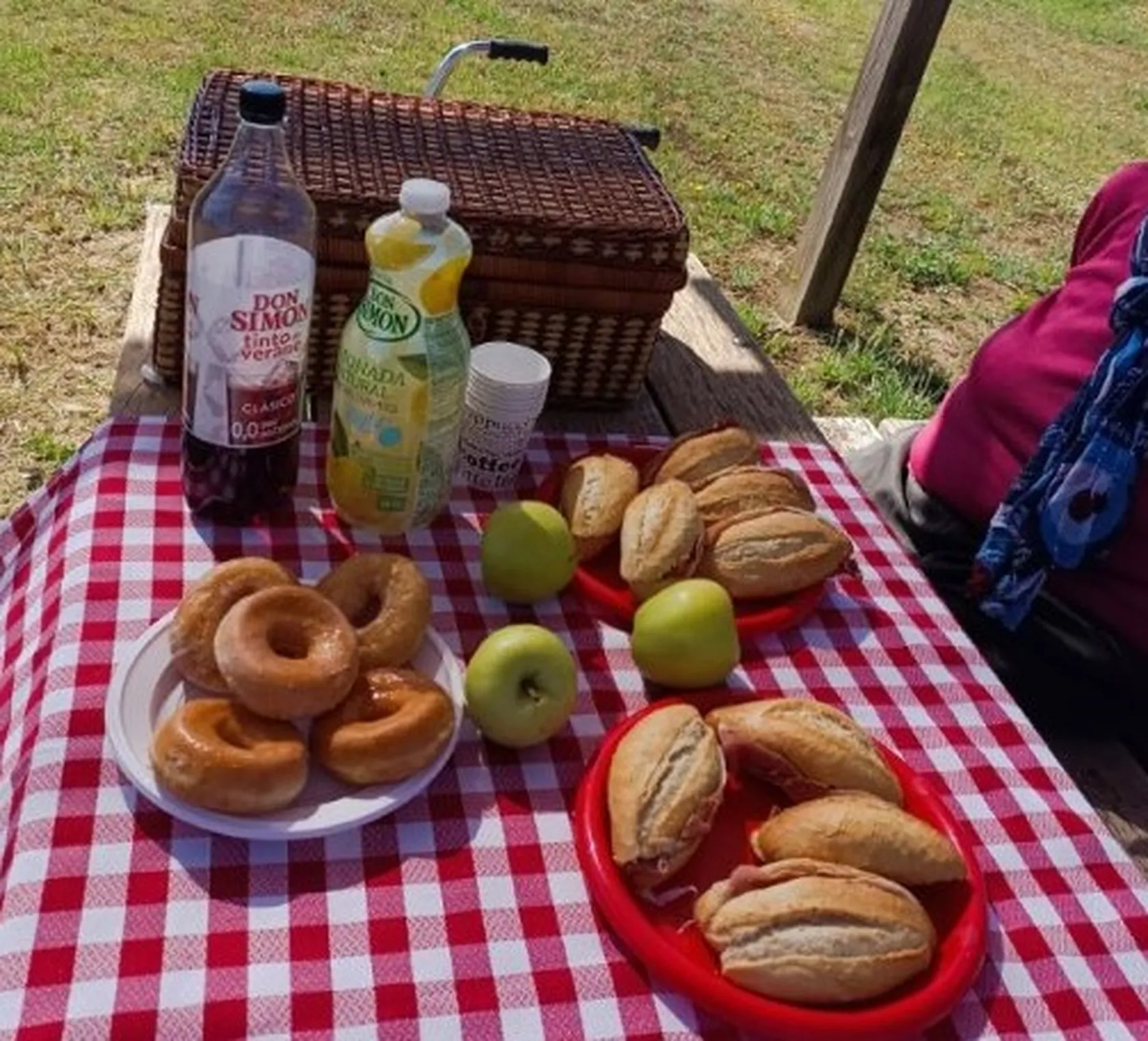 24052024112439SSSPicnic Domus vi Quijorna 1a.jpg
