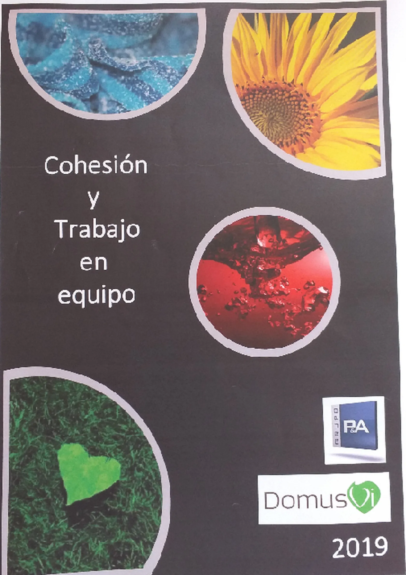 20190613_161459.png